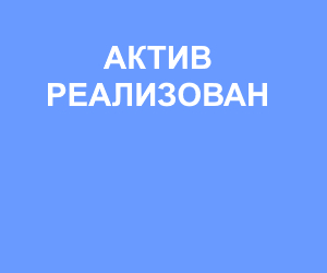 100% доля в уставном капитале ООО «Фазотрон - Инвест»