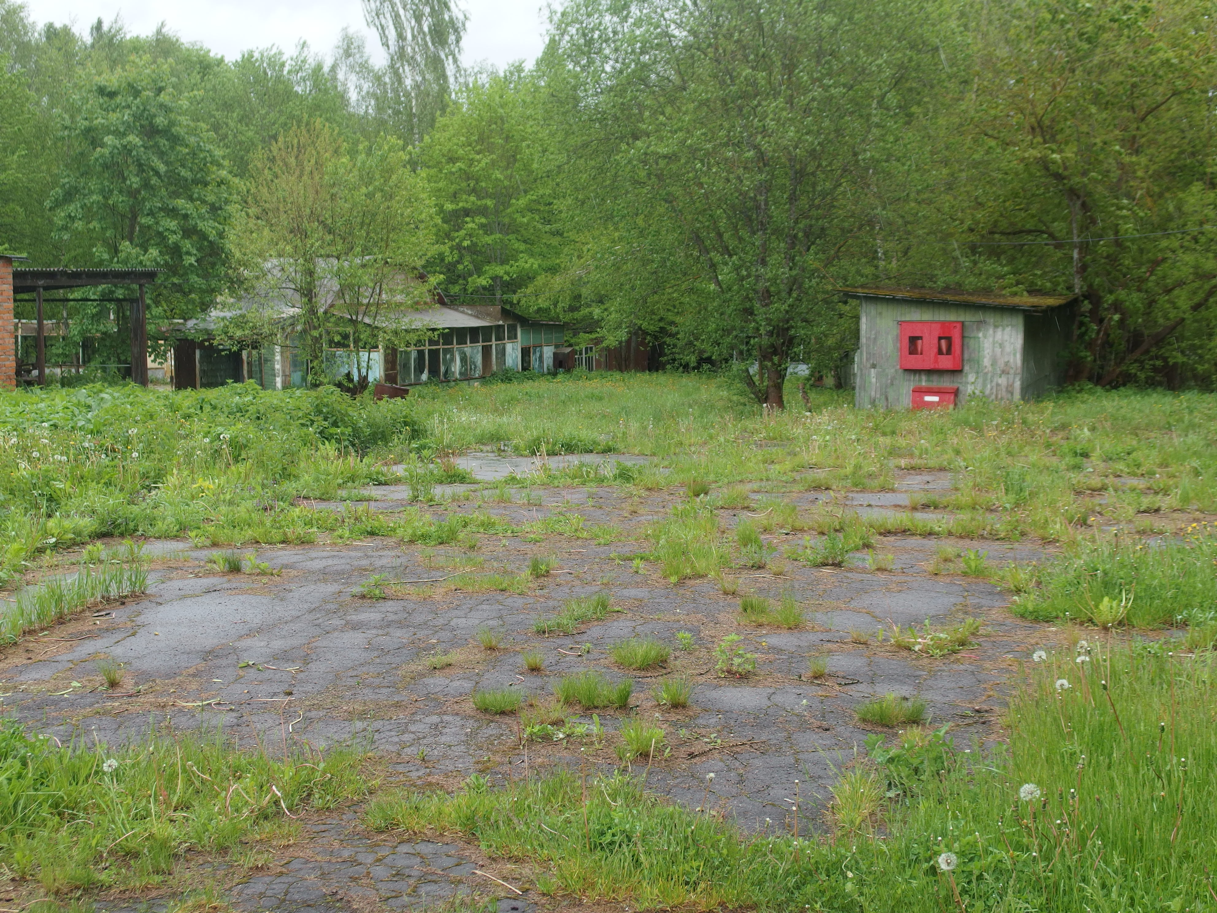P6020013.JPG