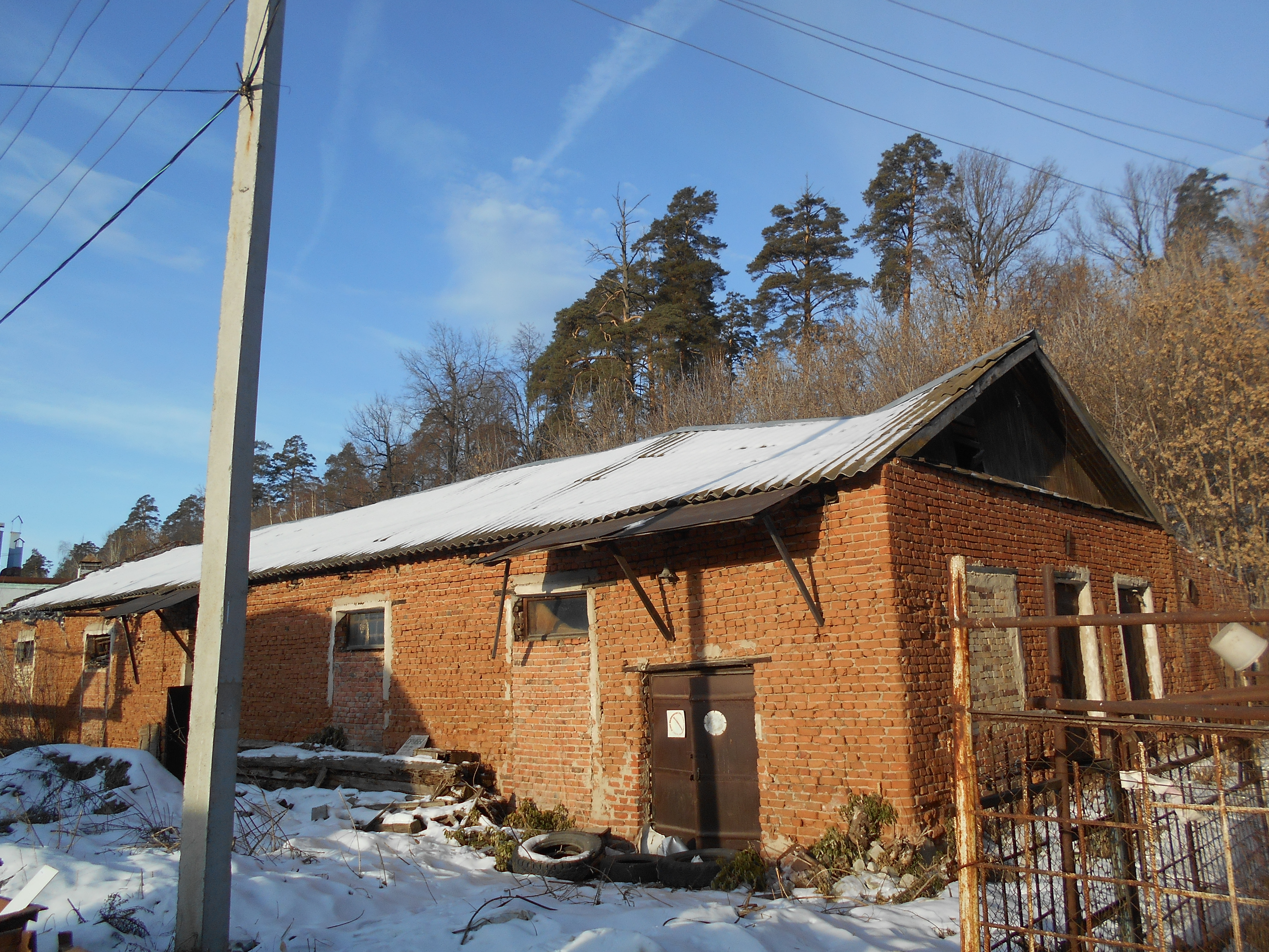 DSCN0481.jpg