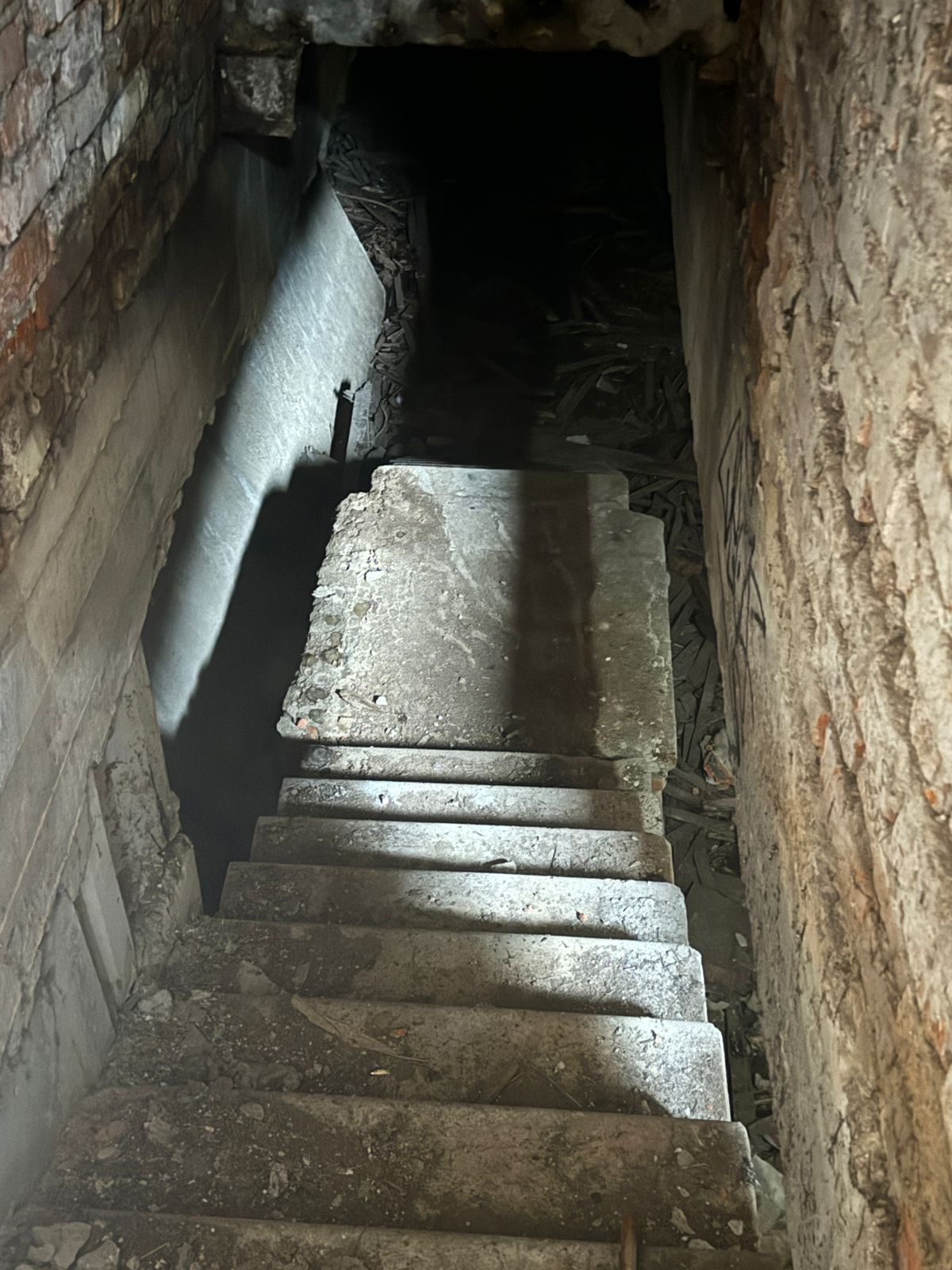 WhatsApp Image 2025-02-06 at 11.11.48 (2).jpeg