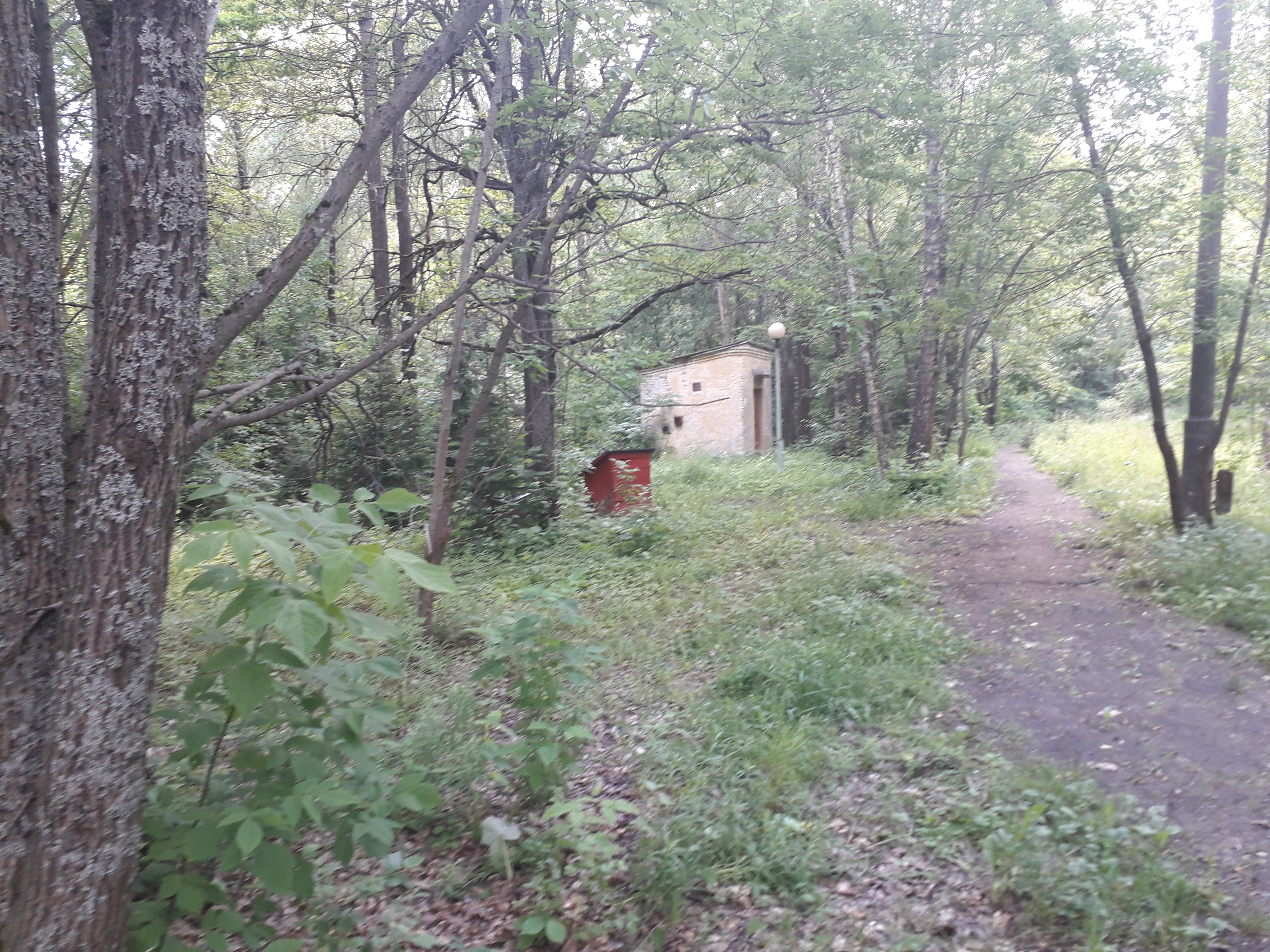 трансформаторная подстанция.jpg