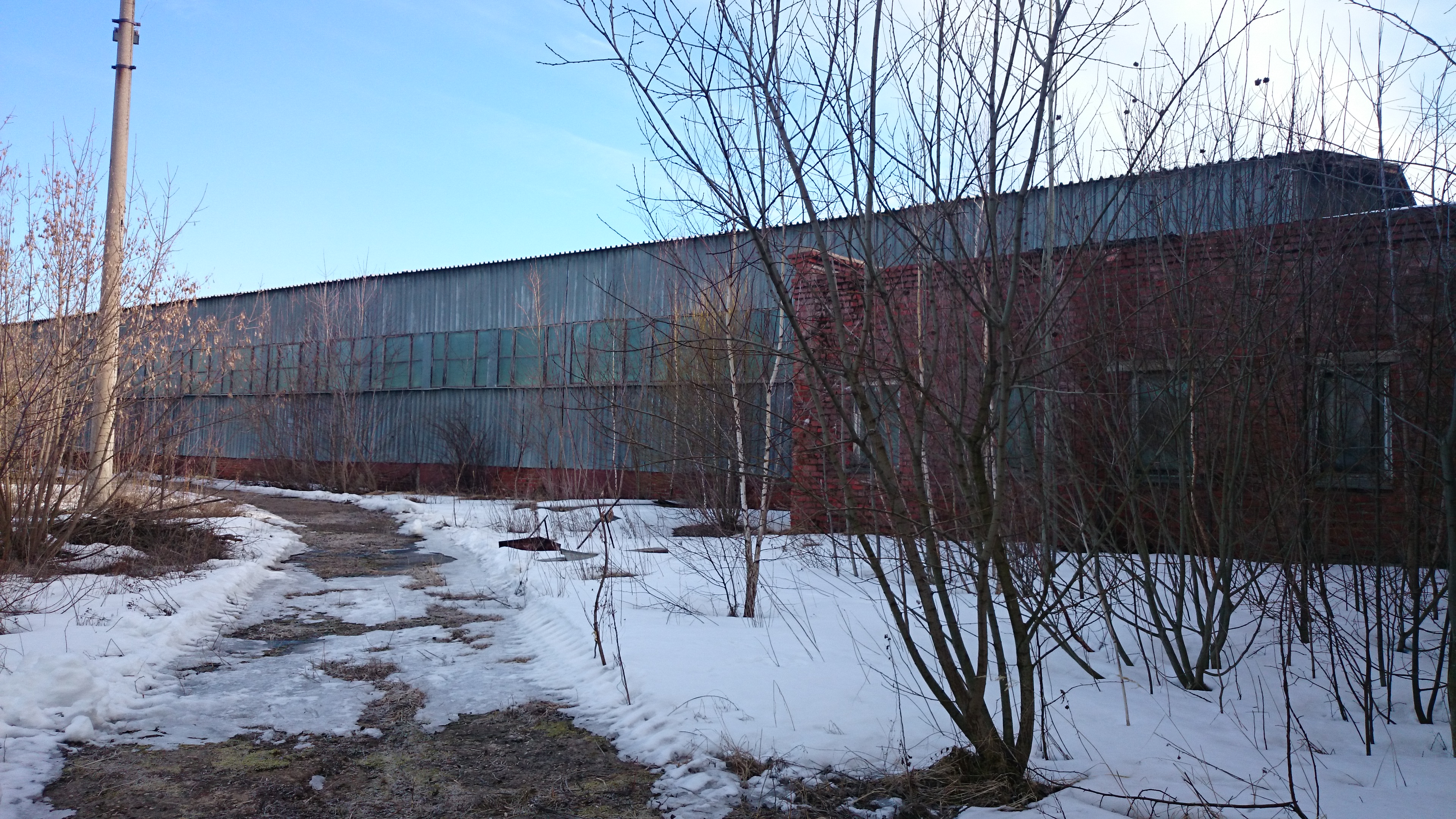 DSC_1384.JPG