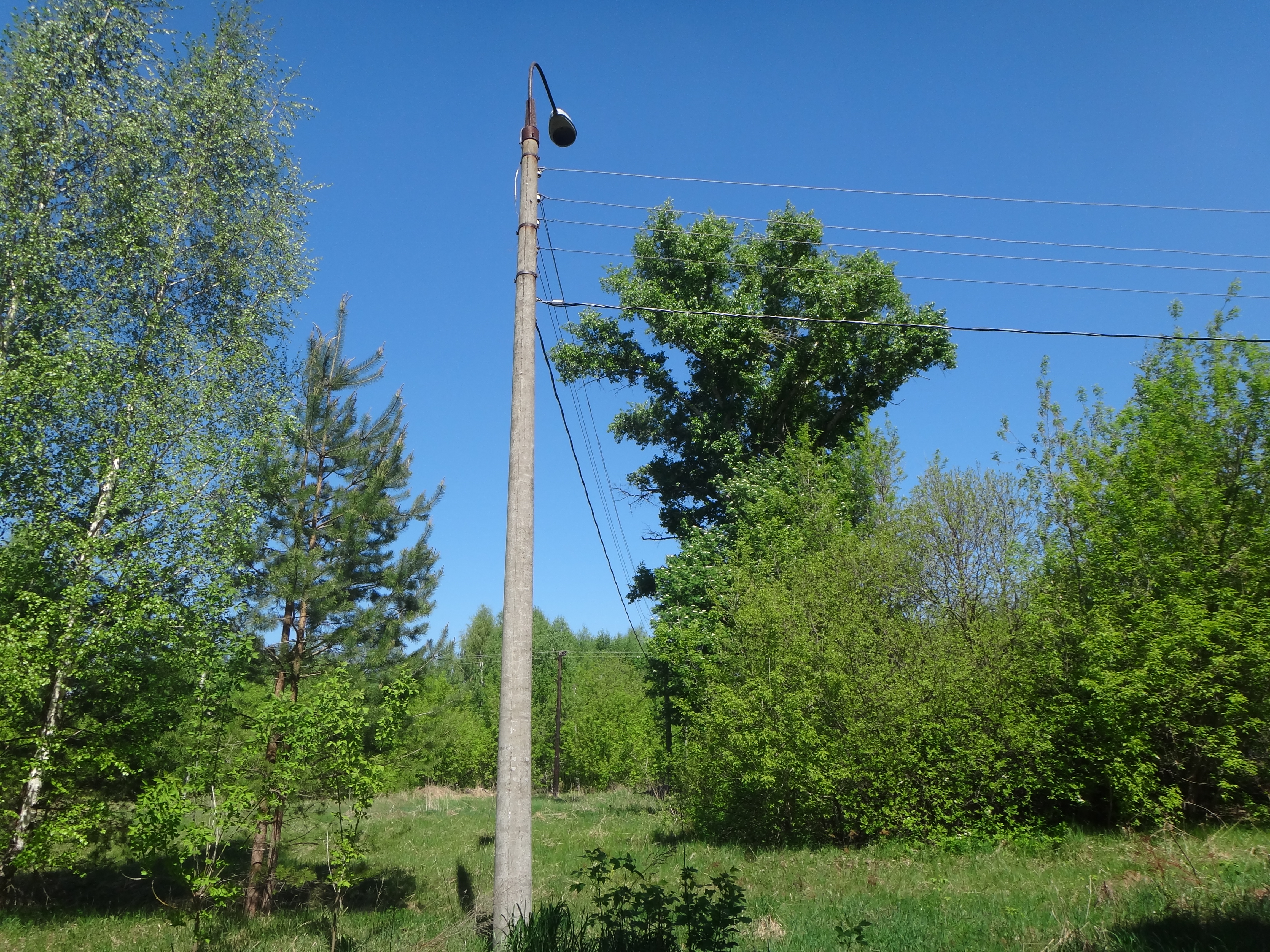 DSC06923.JPG