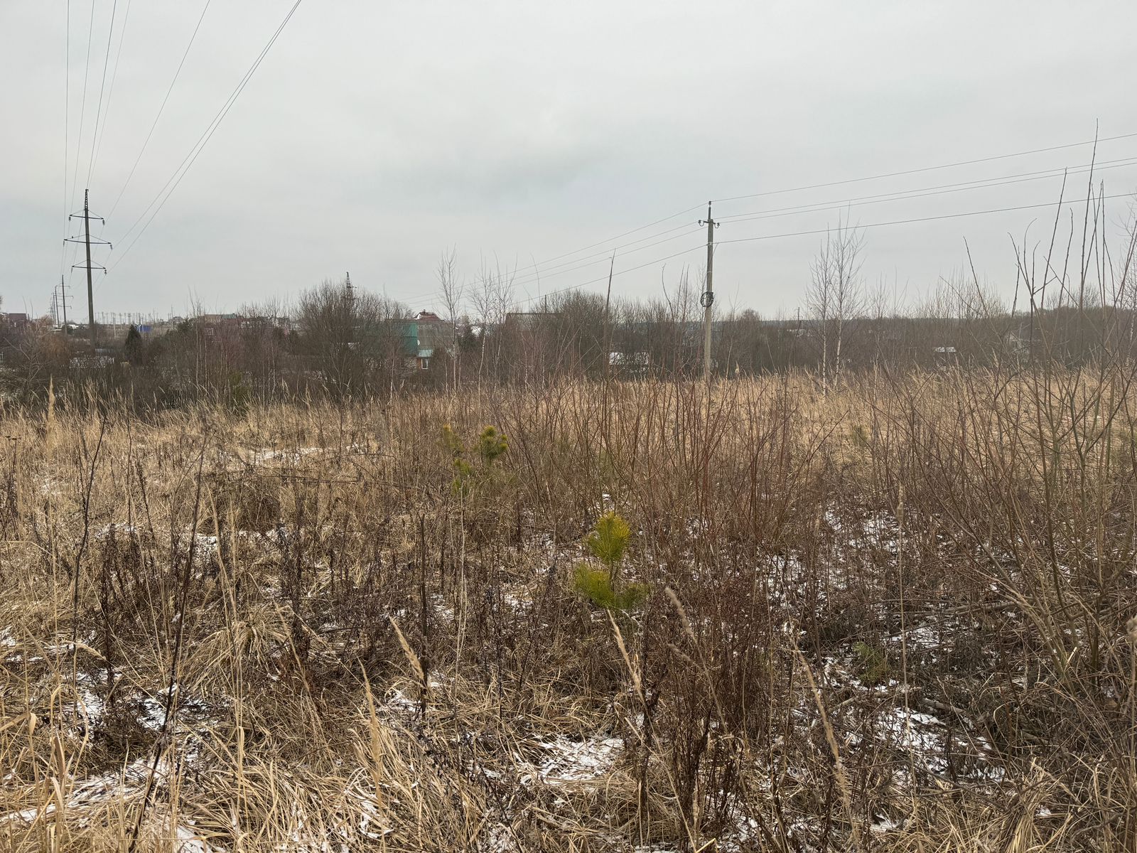 WhatsApp Image 2025-02-06 at 10.32.10.jpeg