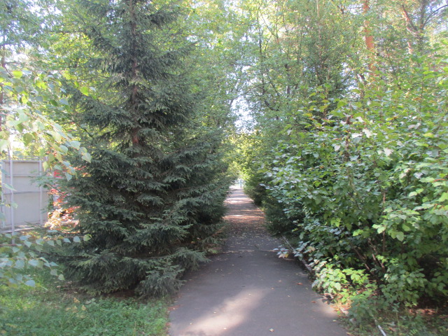 IMG_5932.JPG