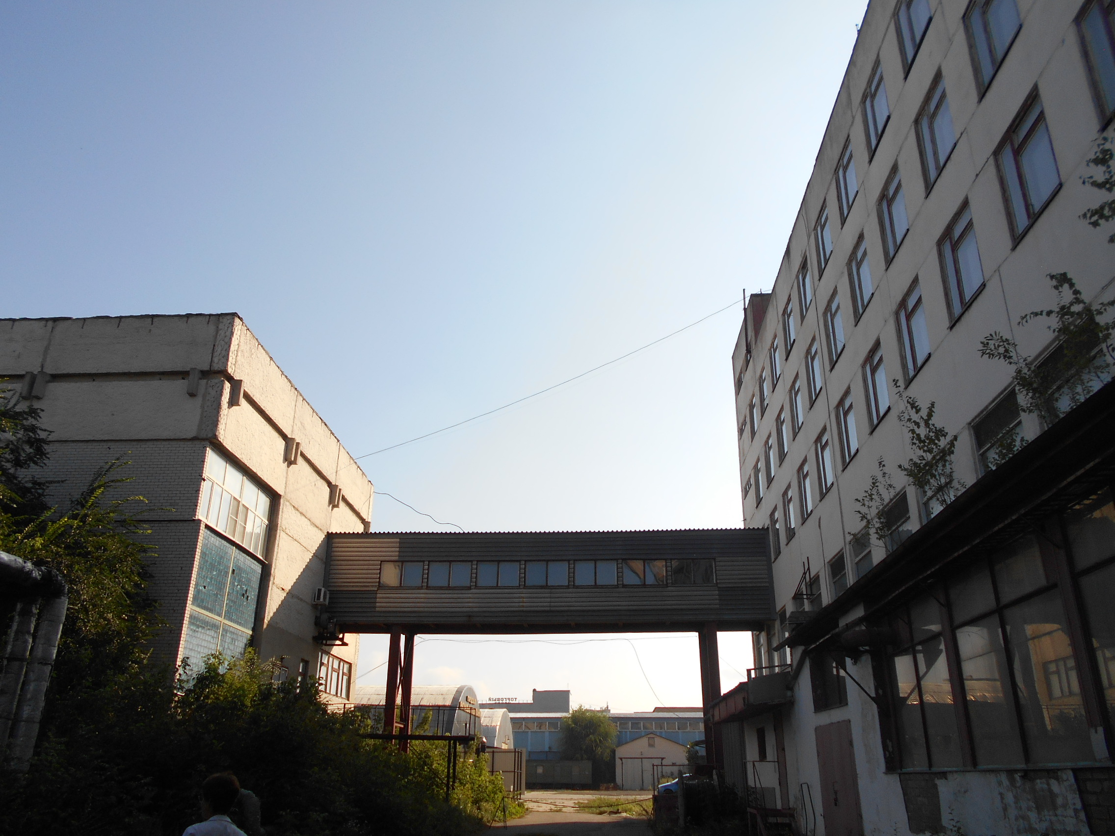 DSCN3981.JPG