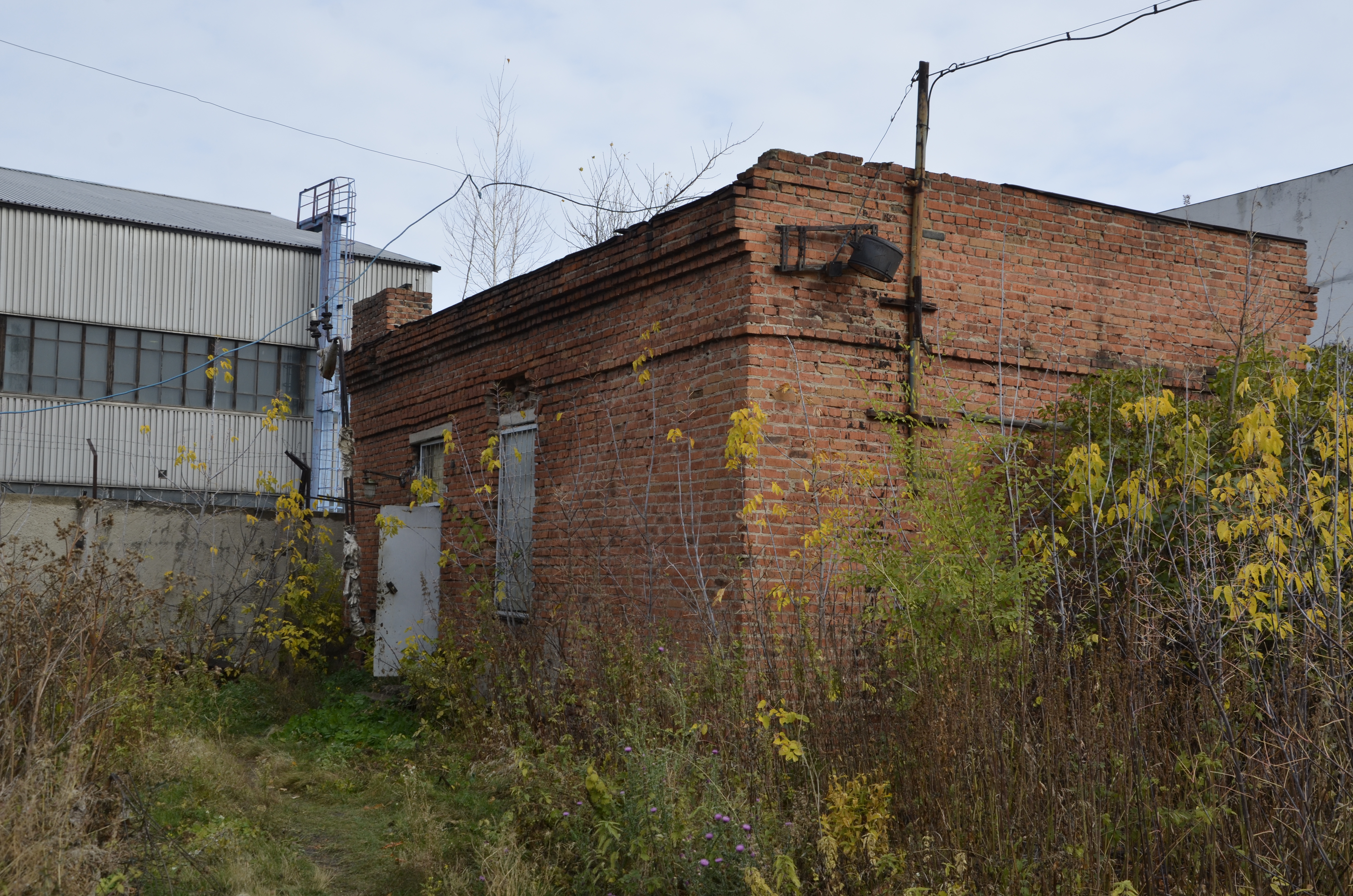 _DSC5064.JPG