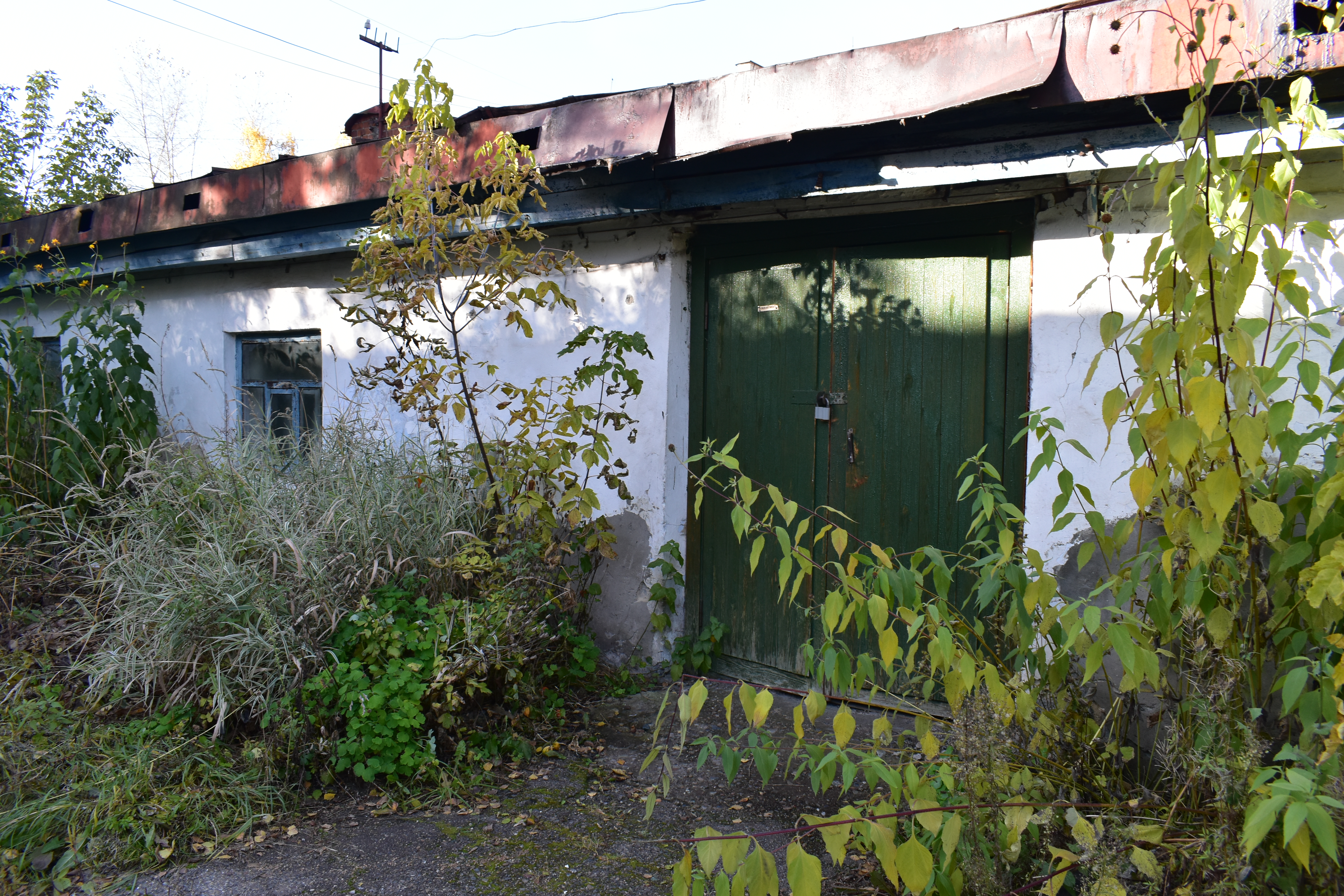 DSC_0199.JPG