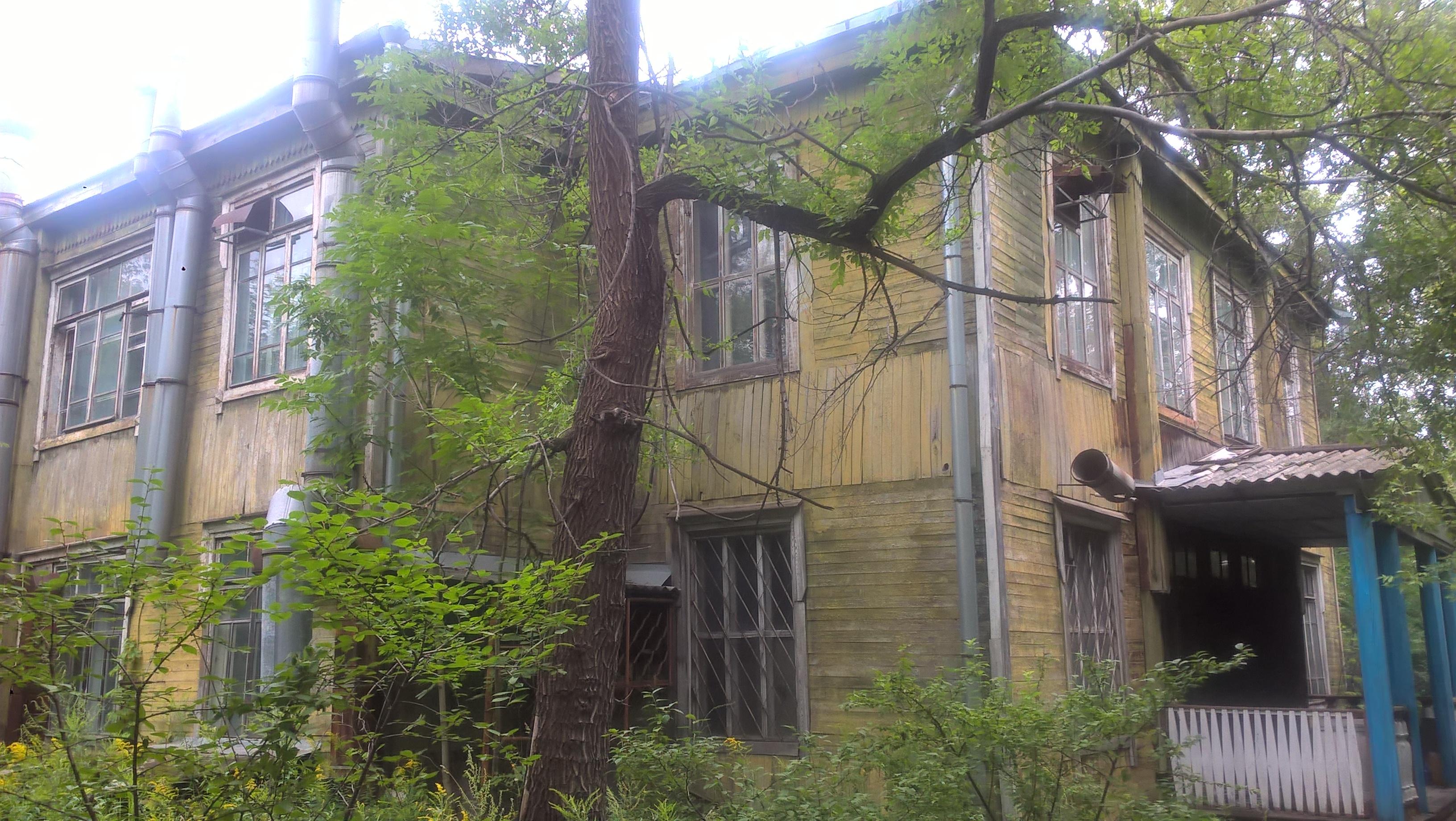 WP_20210810_10_11_50_Pro.jpg