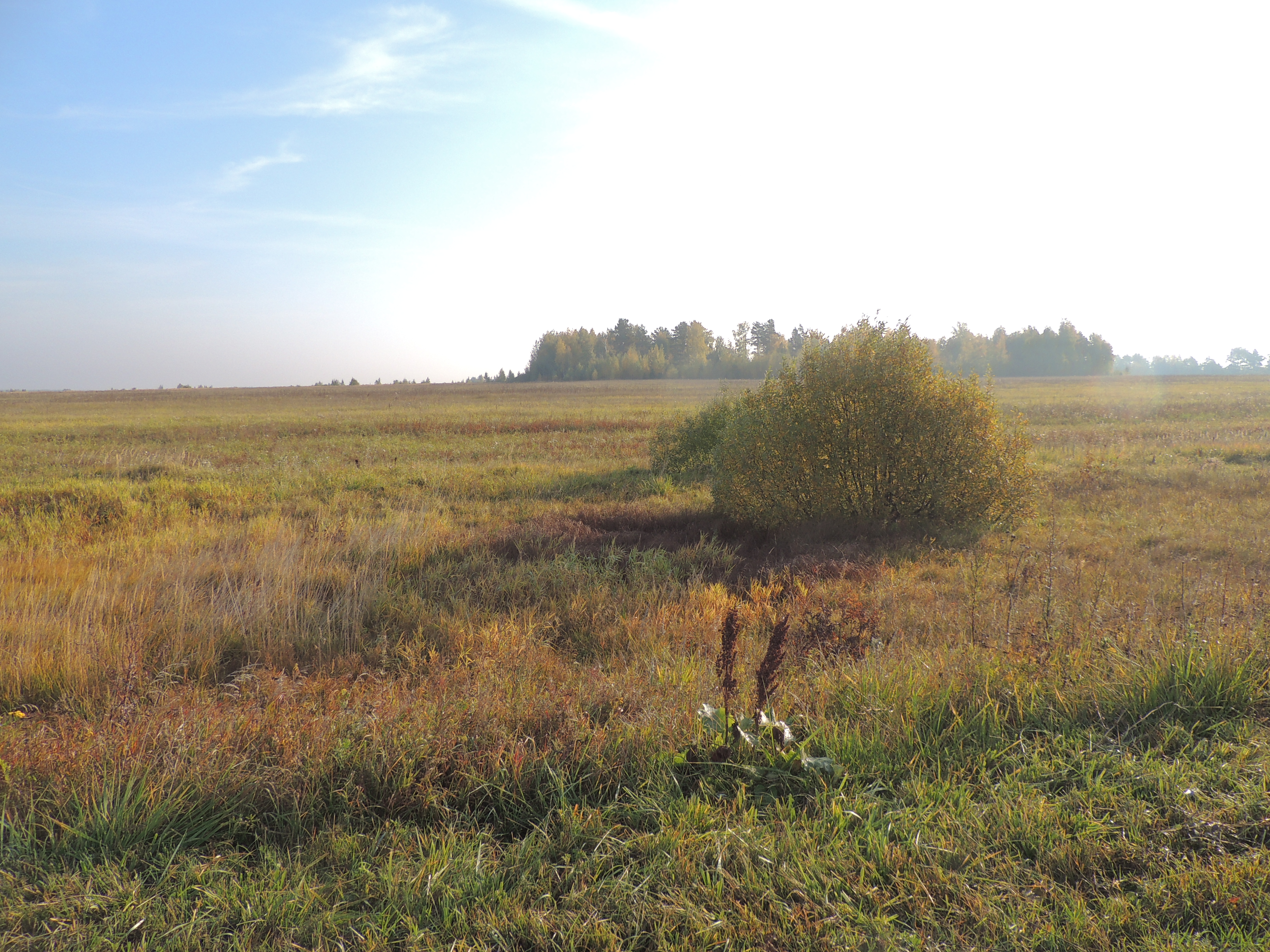 DSCN7476.JPG
