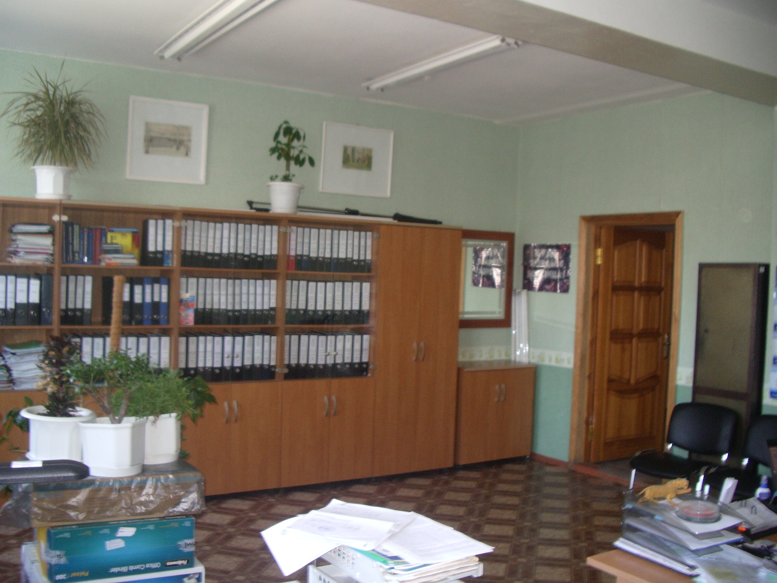 IMGP7963.JPG