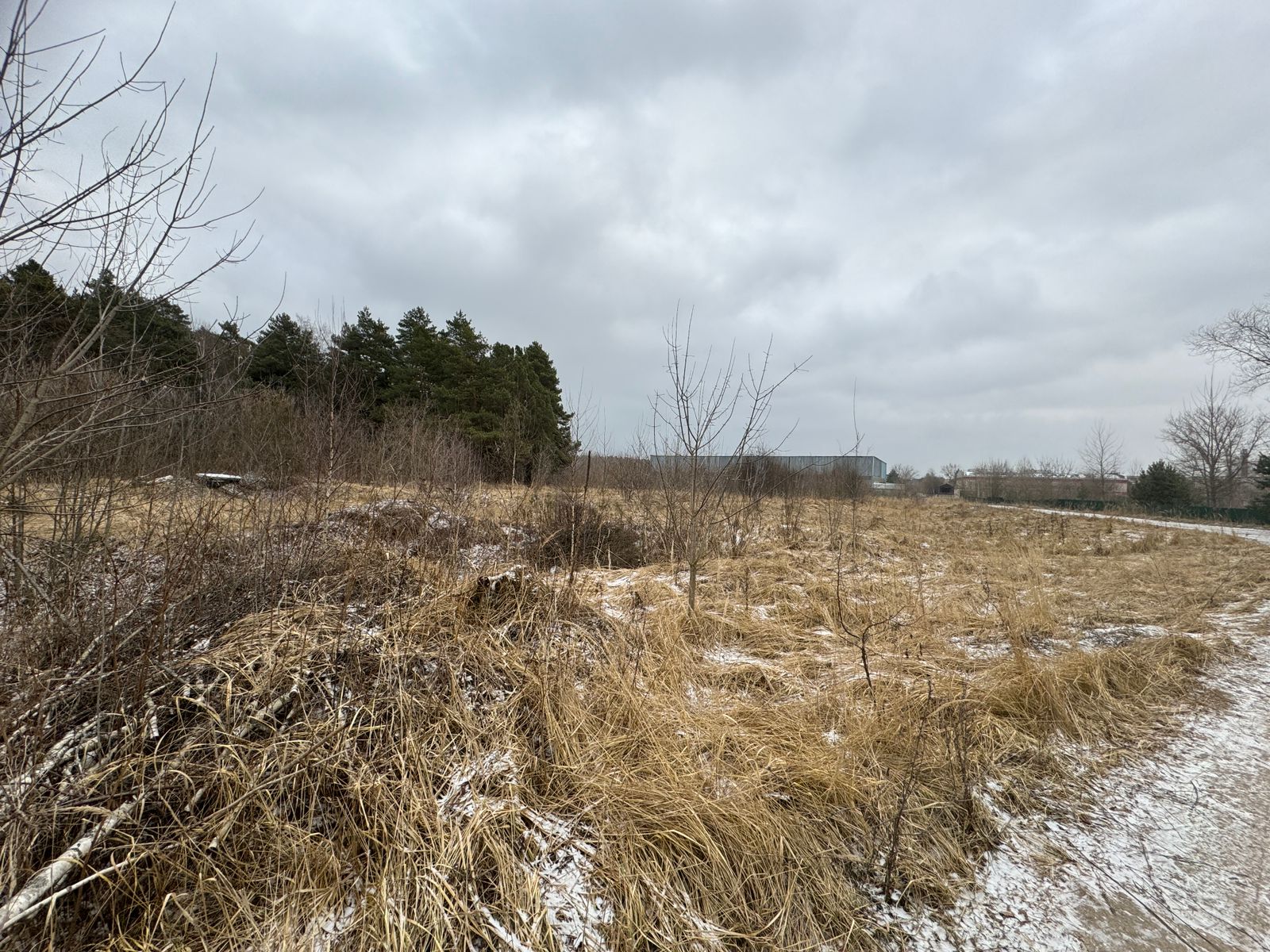 Земельный участок 30500 кв.м.