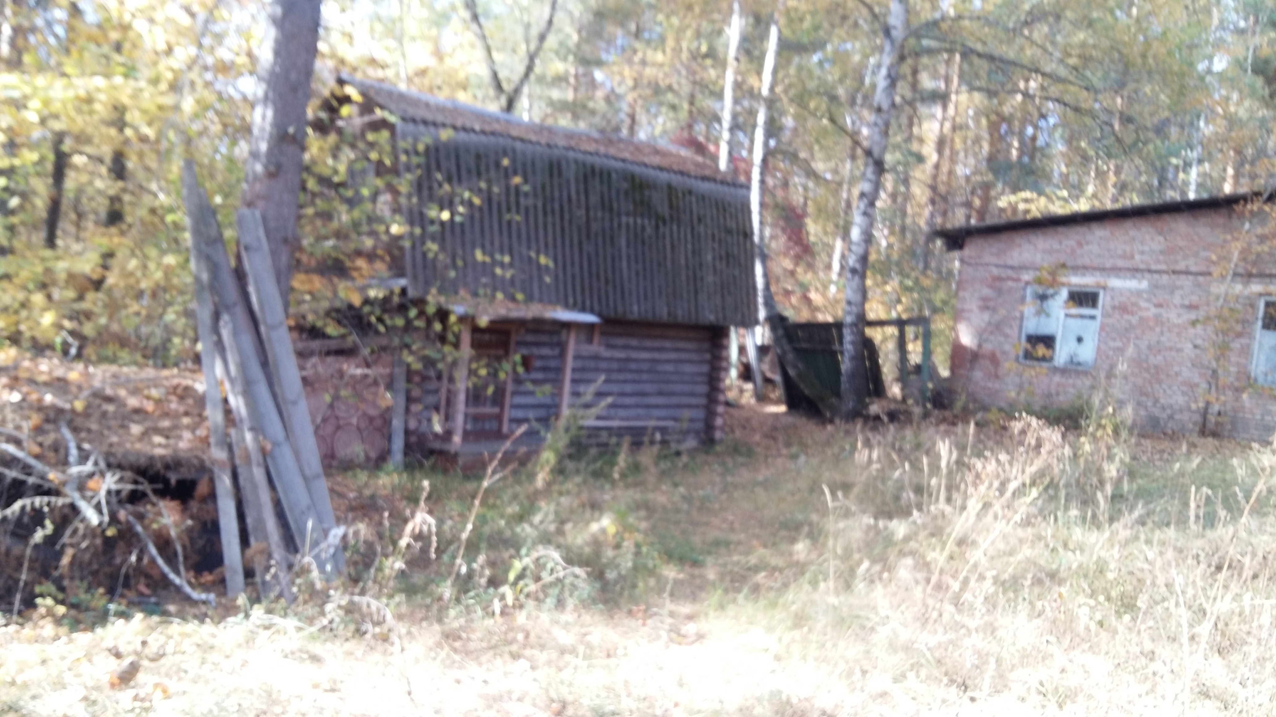 20201007_111306.jpg