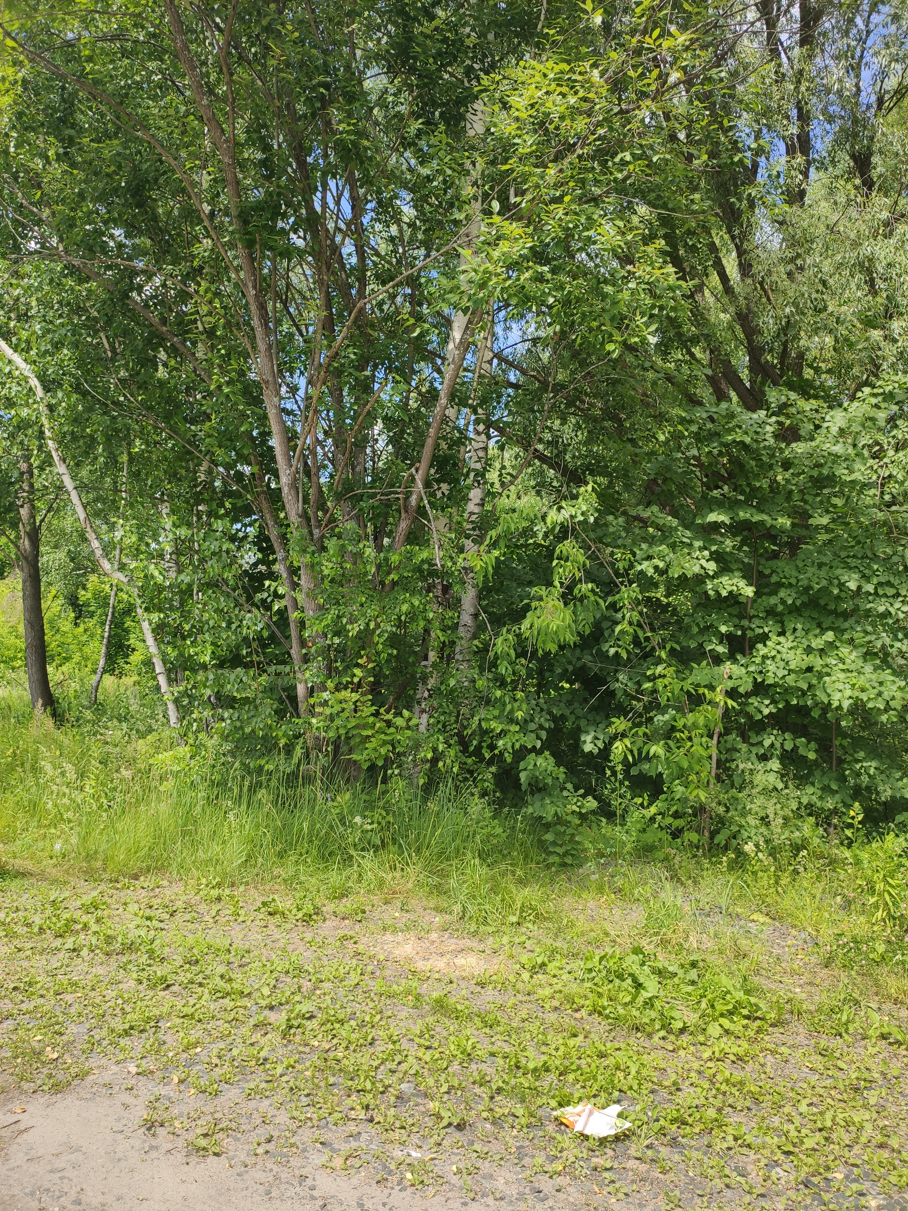 IMG_20220630_113704.jpg