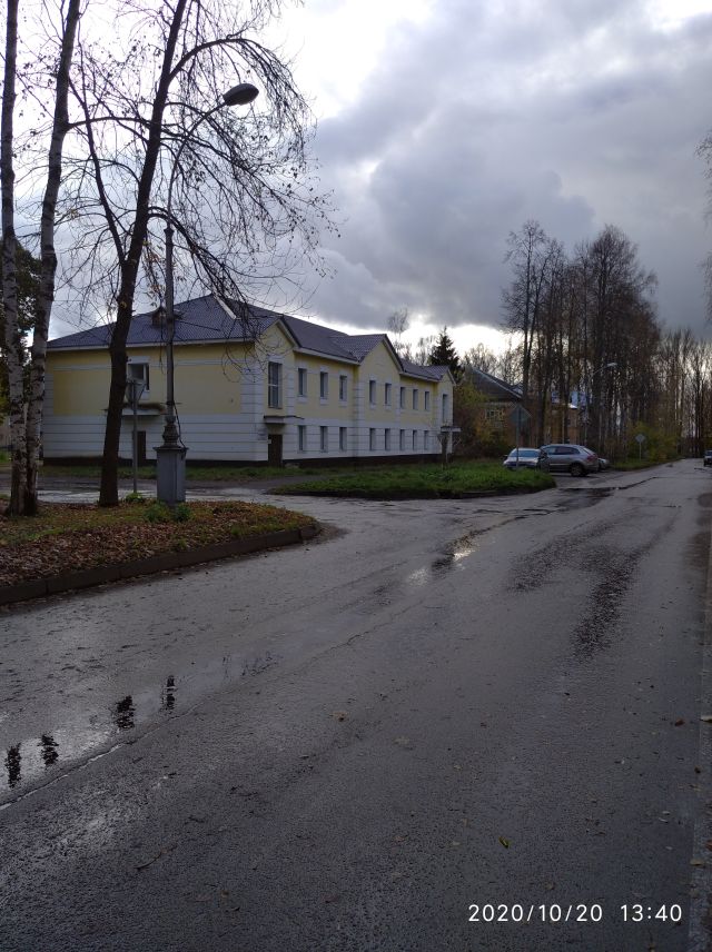 IMG_20201020_134002_01.jpg