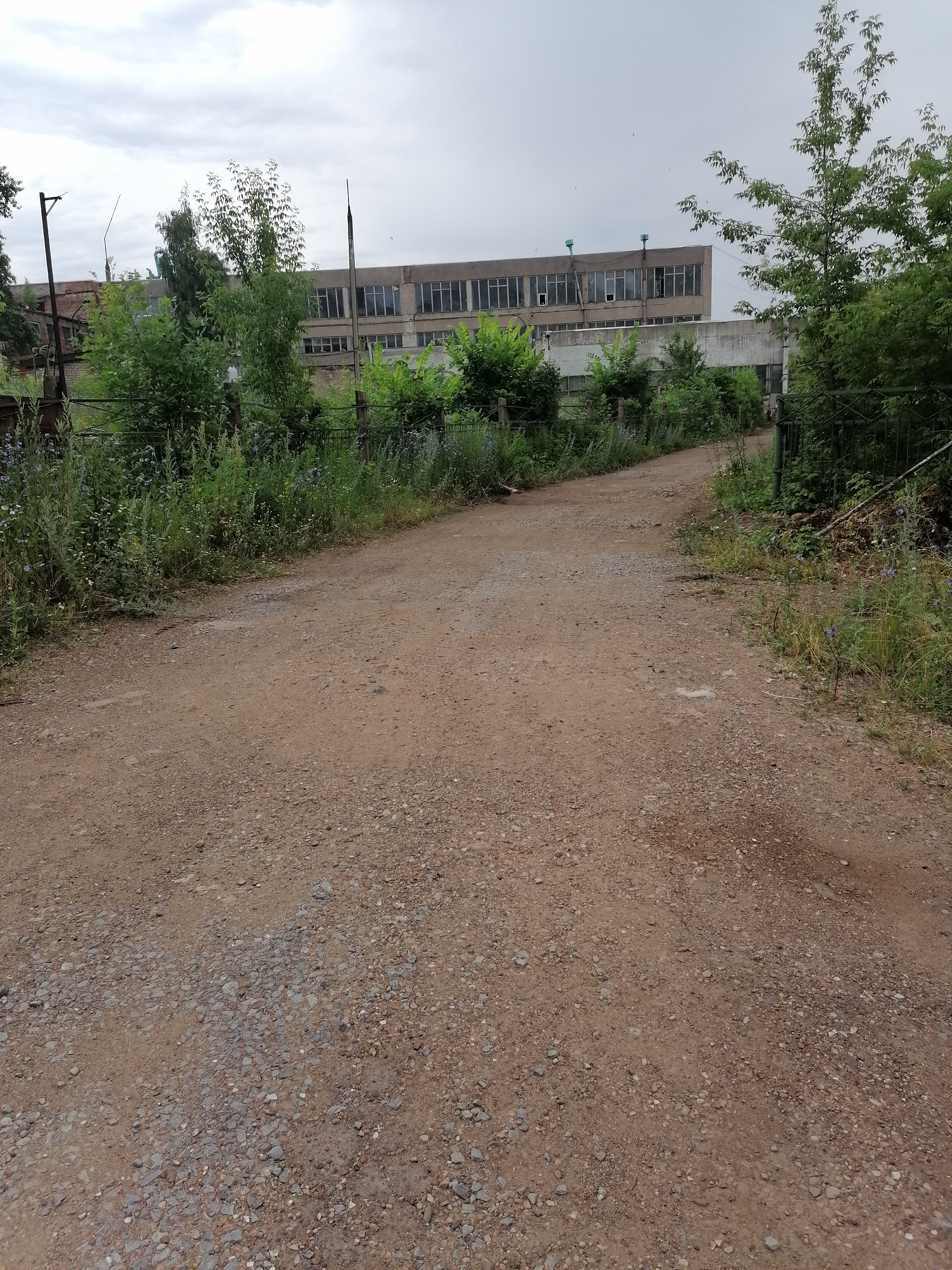IMG_20220715_105113.jpg