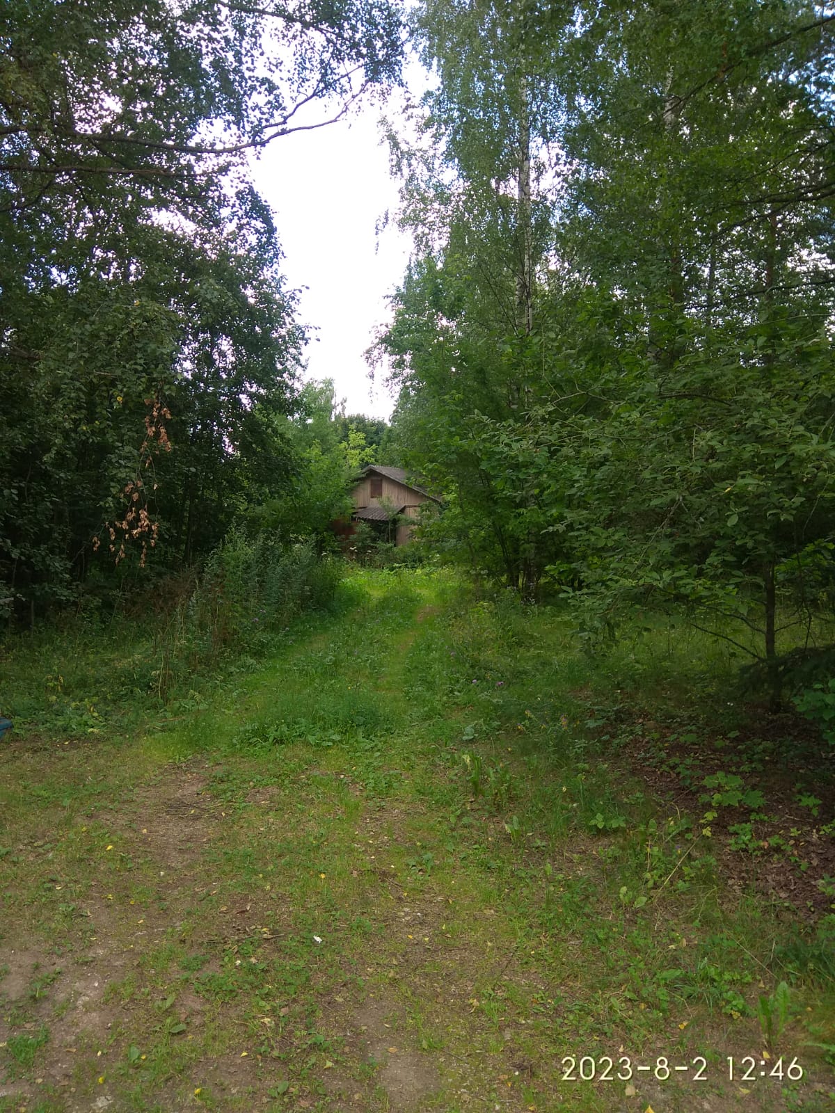 c4059095-9143-496e-a36d-9373e6d843bb.JPG
