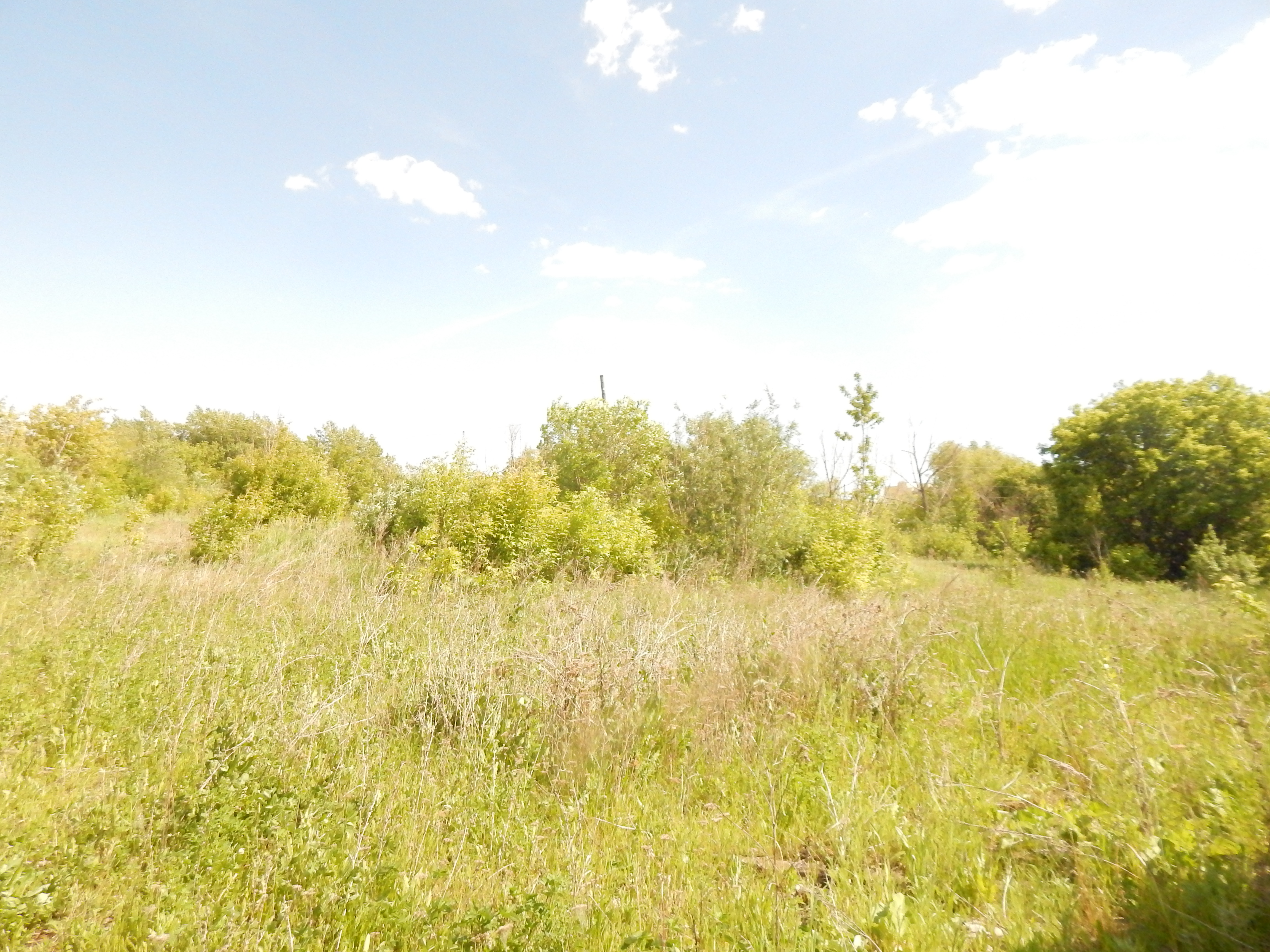 DSCN9568.JPG