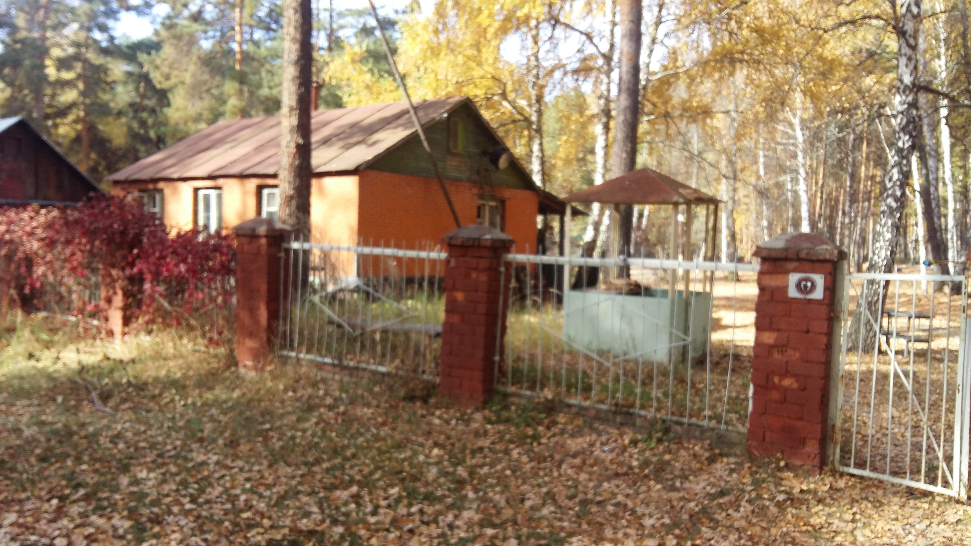 20201007_110919.jpg