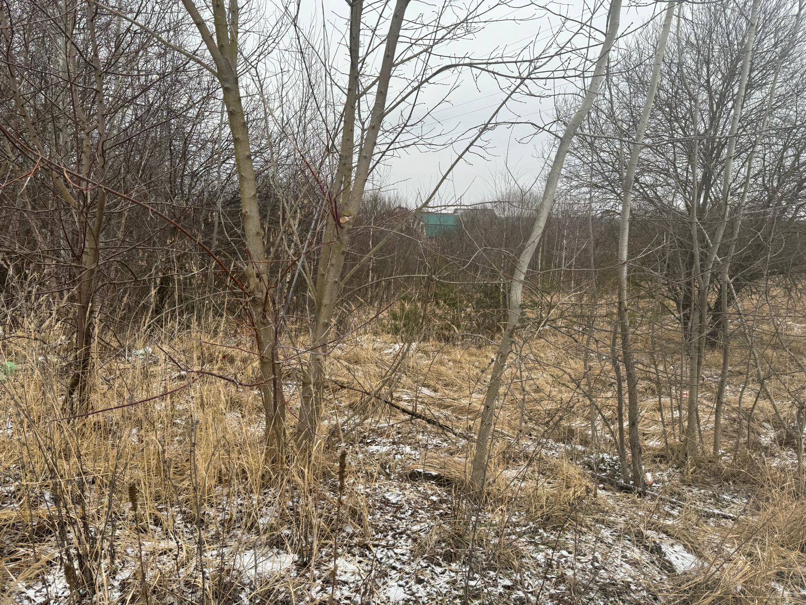 WhatsApp Image 2025-02-06 at 10.32.11 (2).jpeg