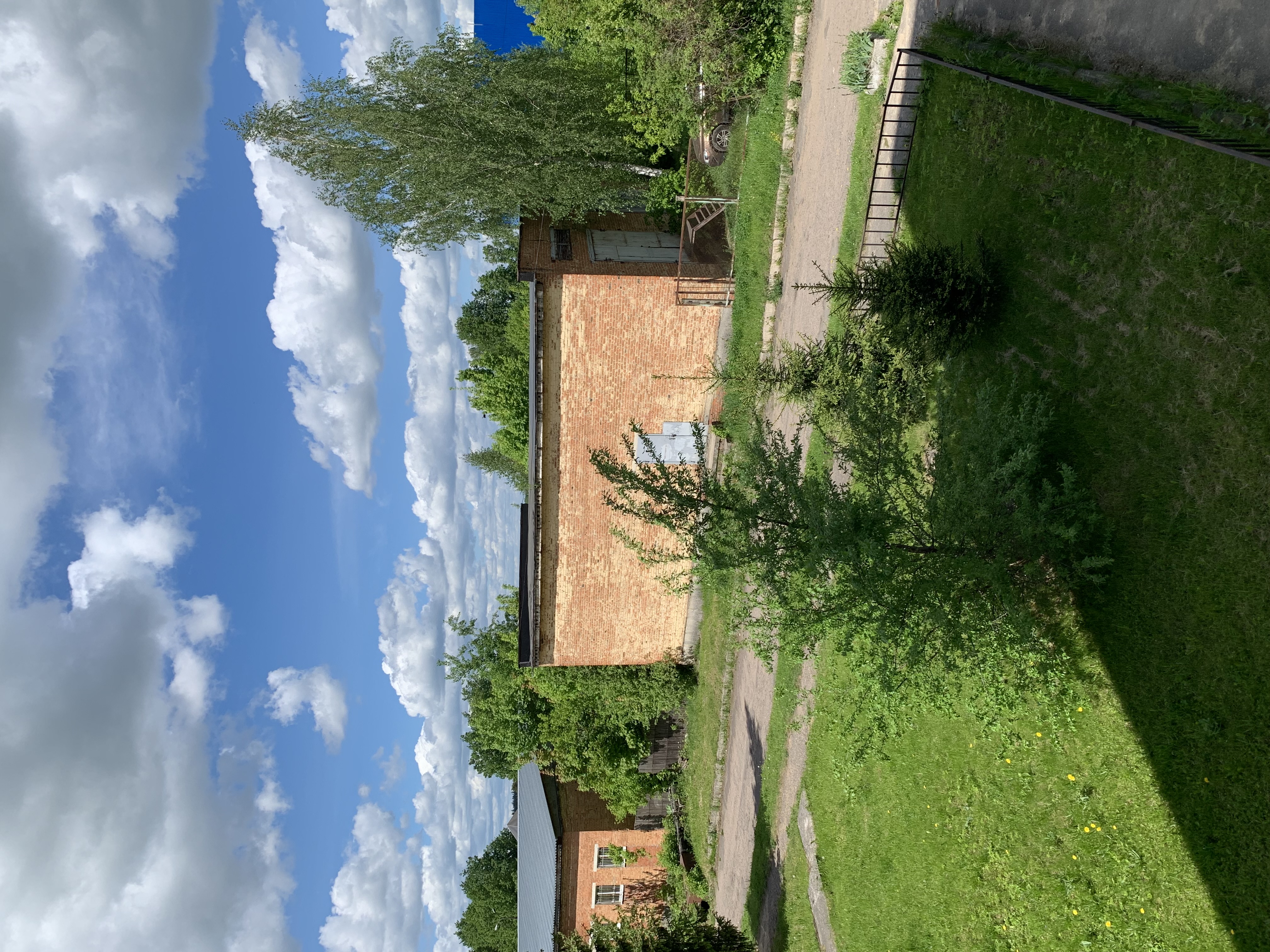 IMG_0550.JPG