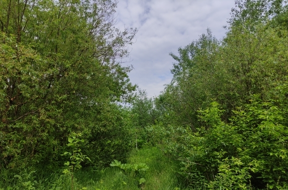 Земельный участок 3600 кв.м.