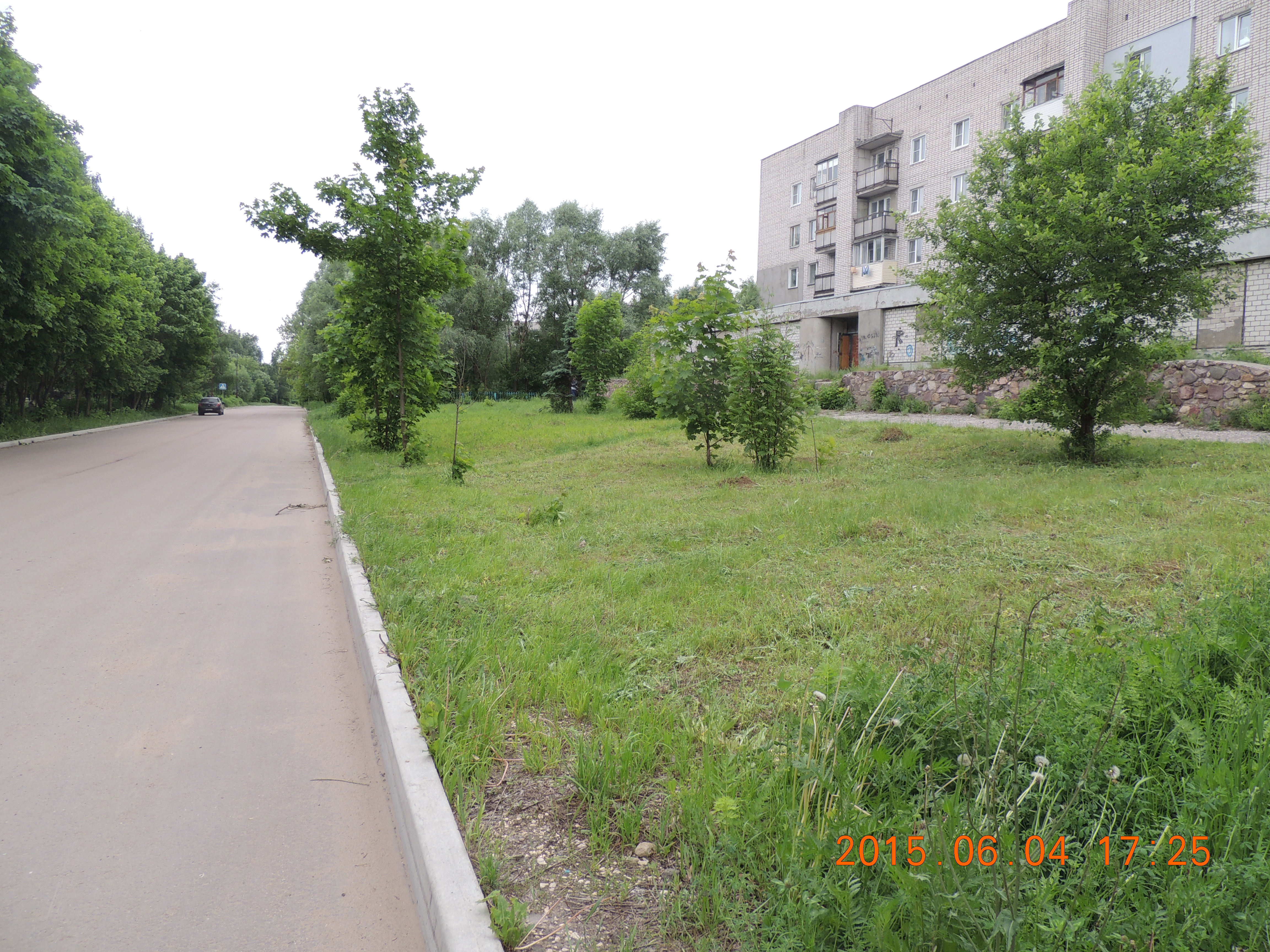 DSCN7908.JPG