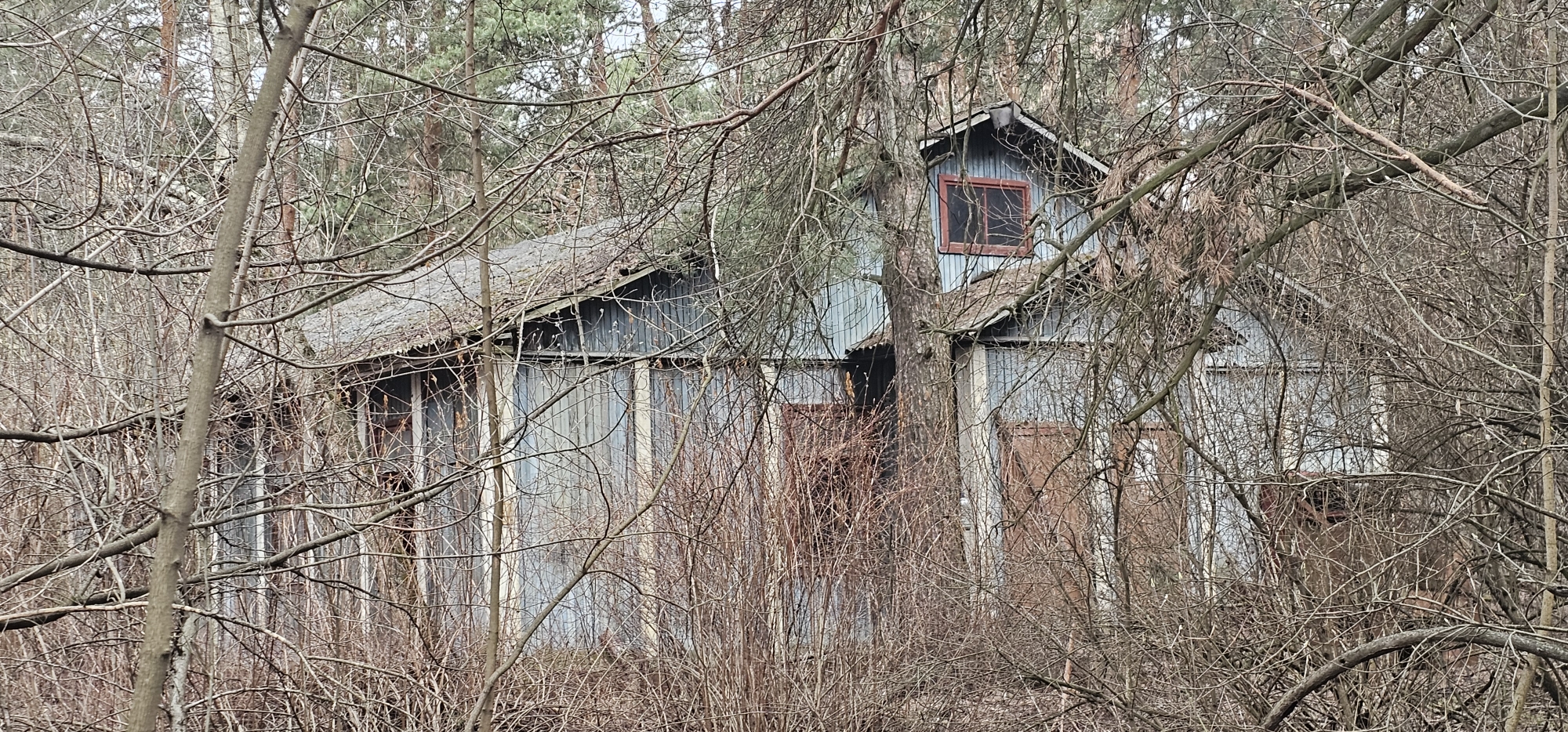 СТР. 17_77 04 0005006 2369 (1).jpg