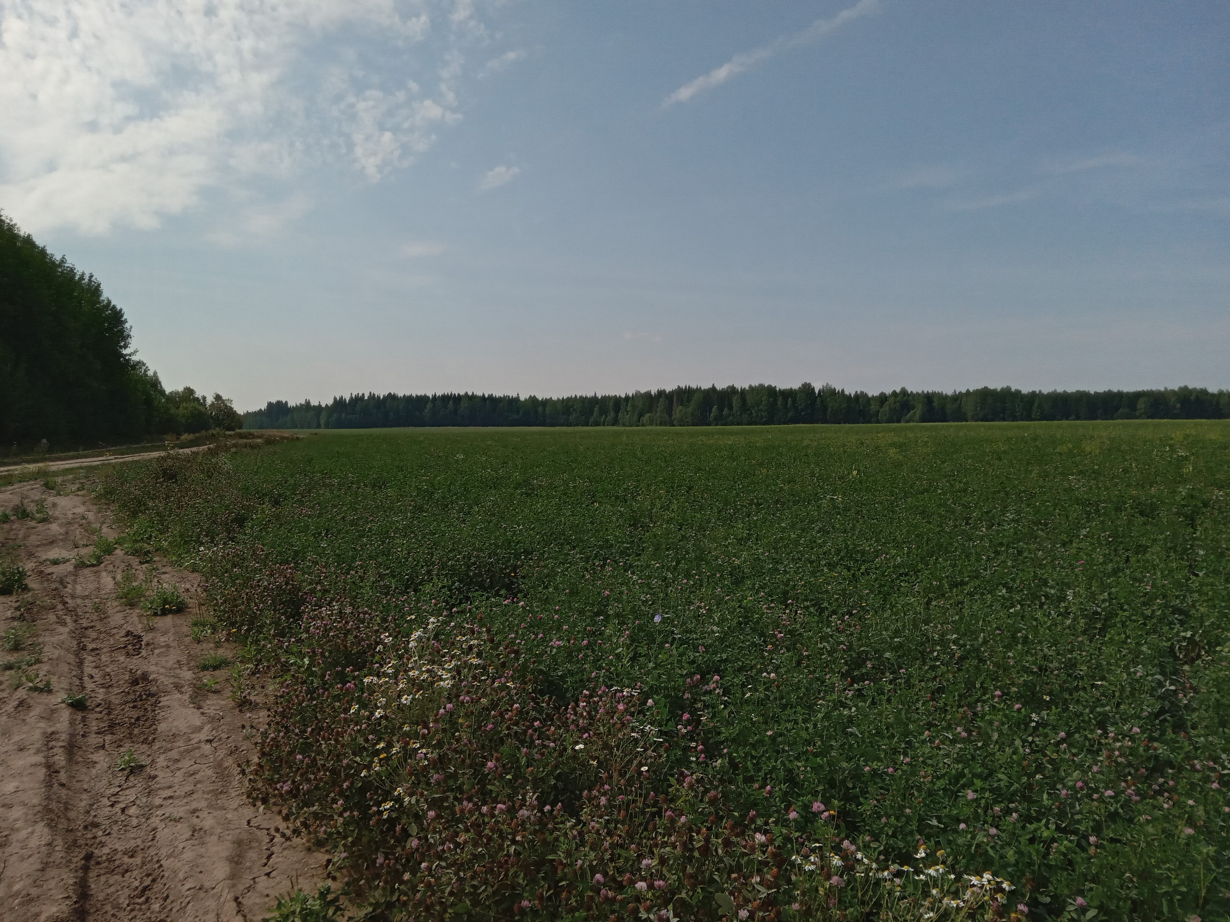 20220809_112346870.jpg