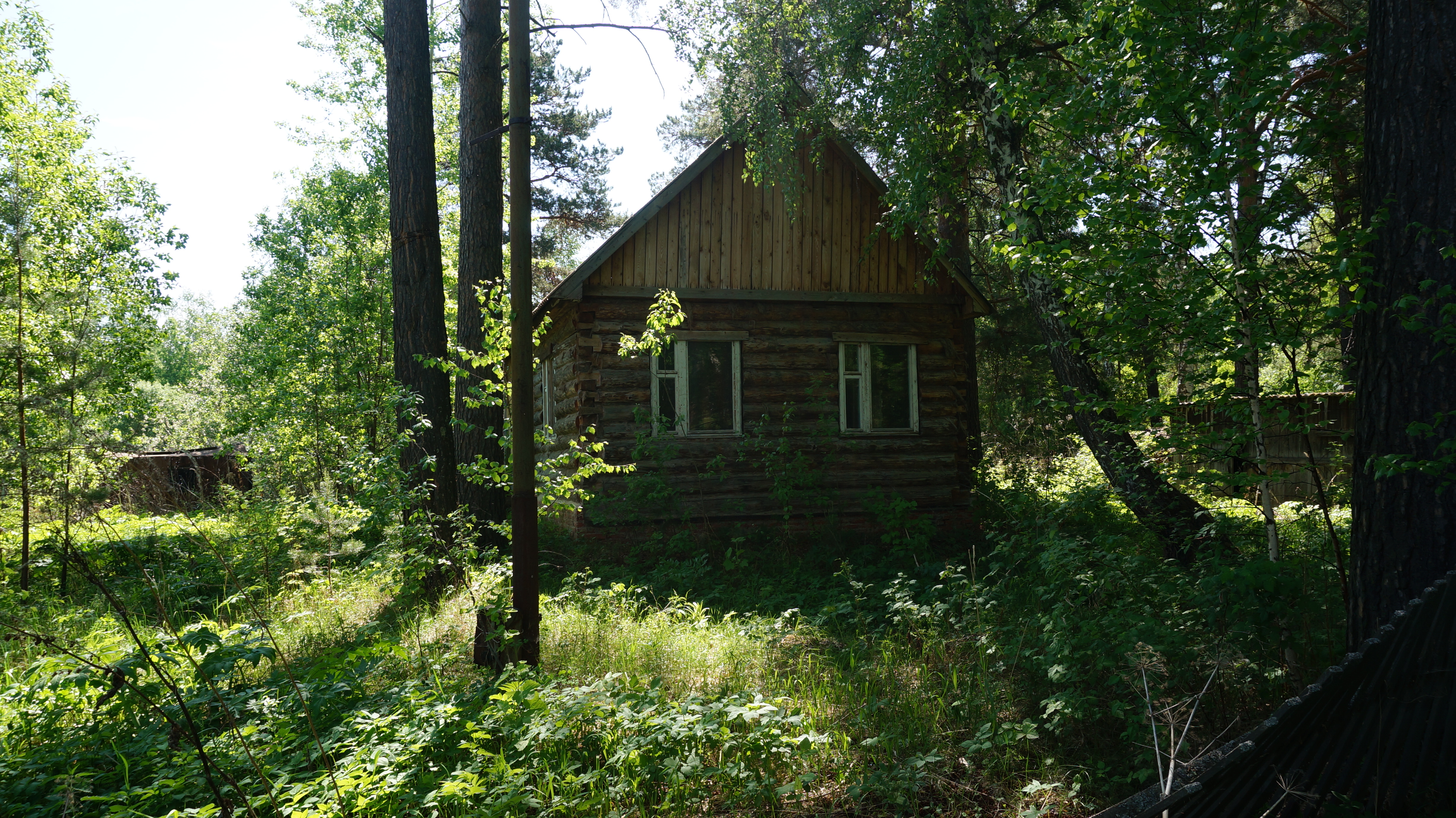 DSC03957.JPG