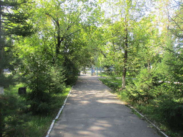 IMG_6056.JPG