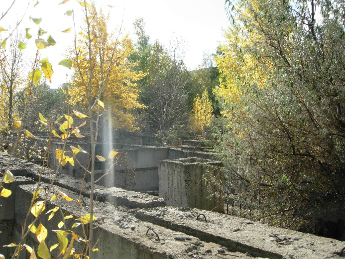 7.bmp