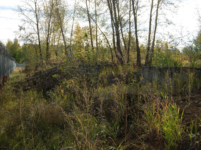 11.bmp