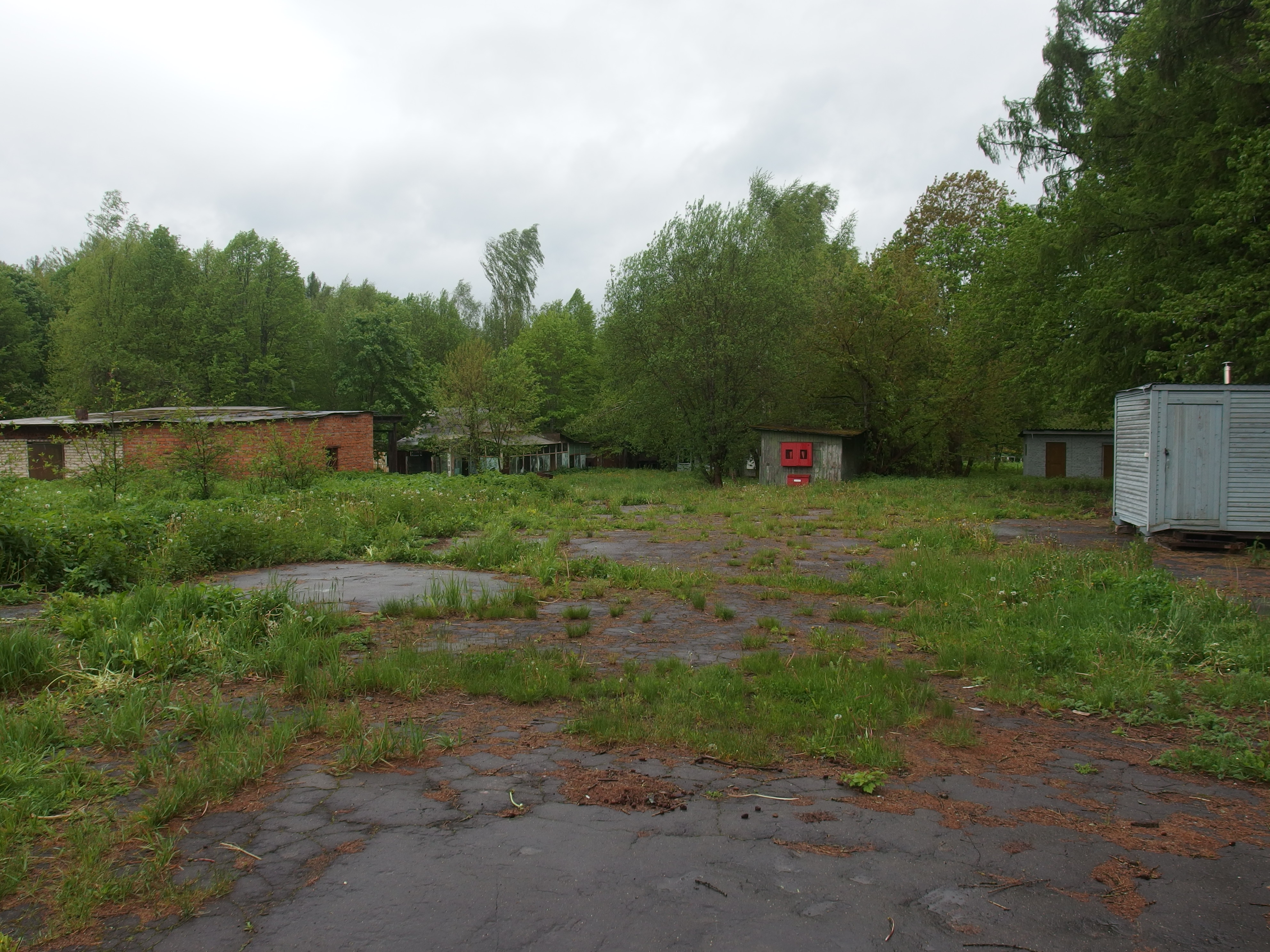 P6020001.JPG