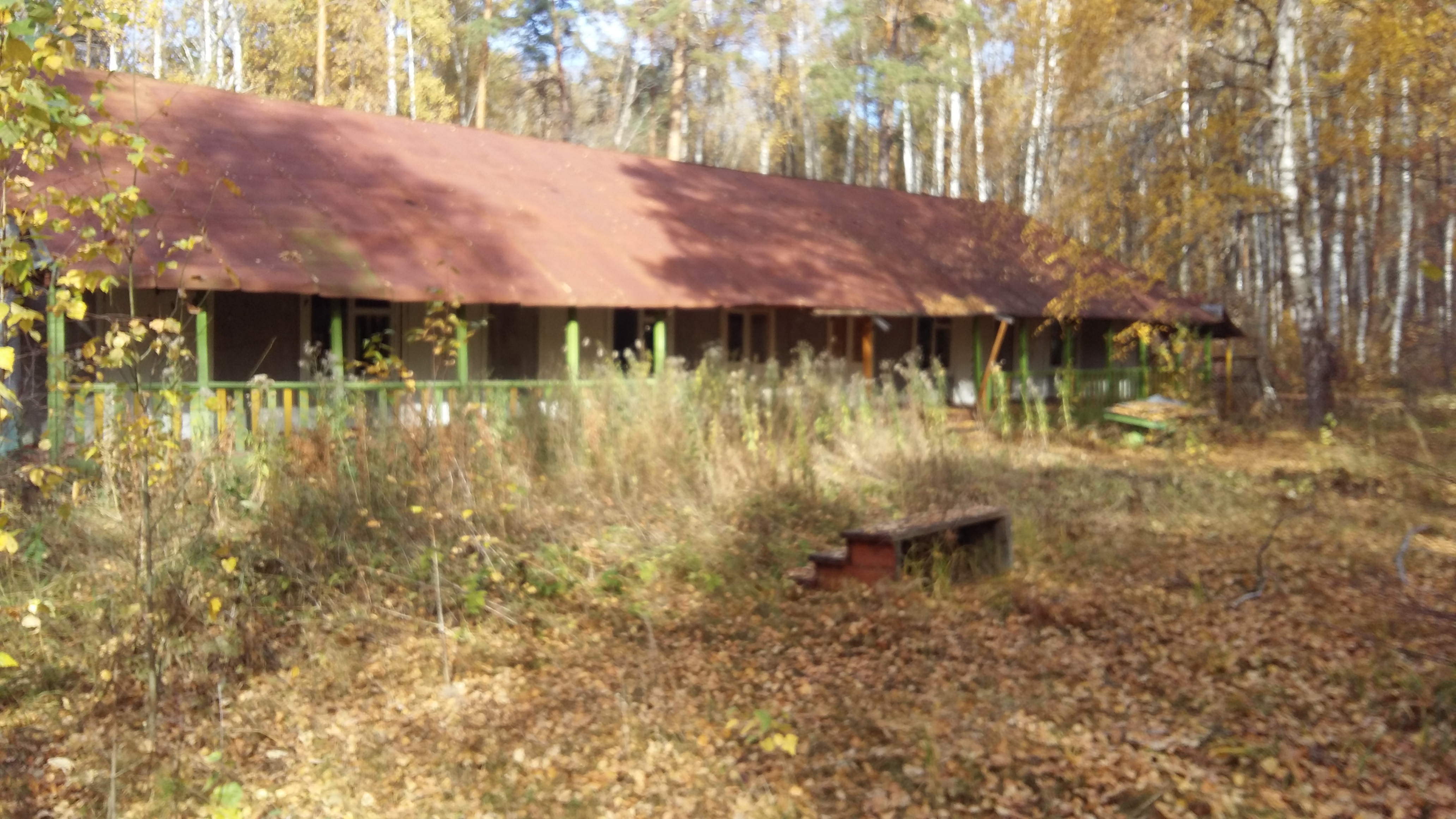 20201007_112919.jpg
