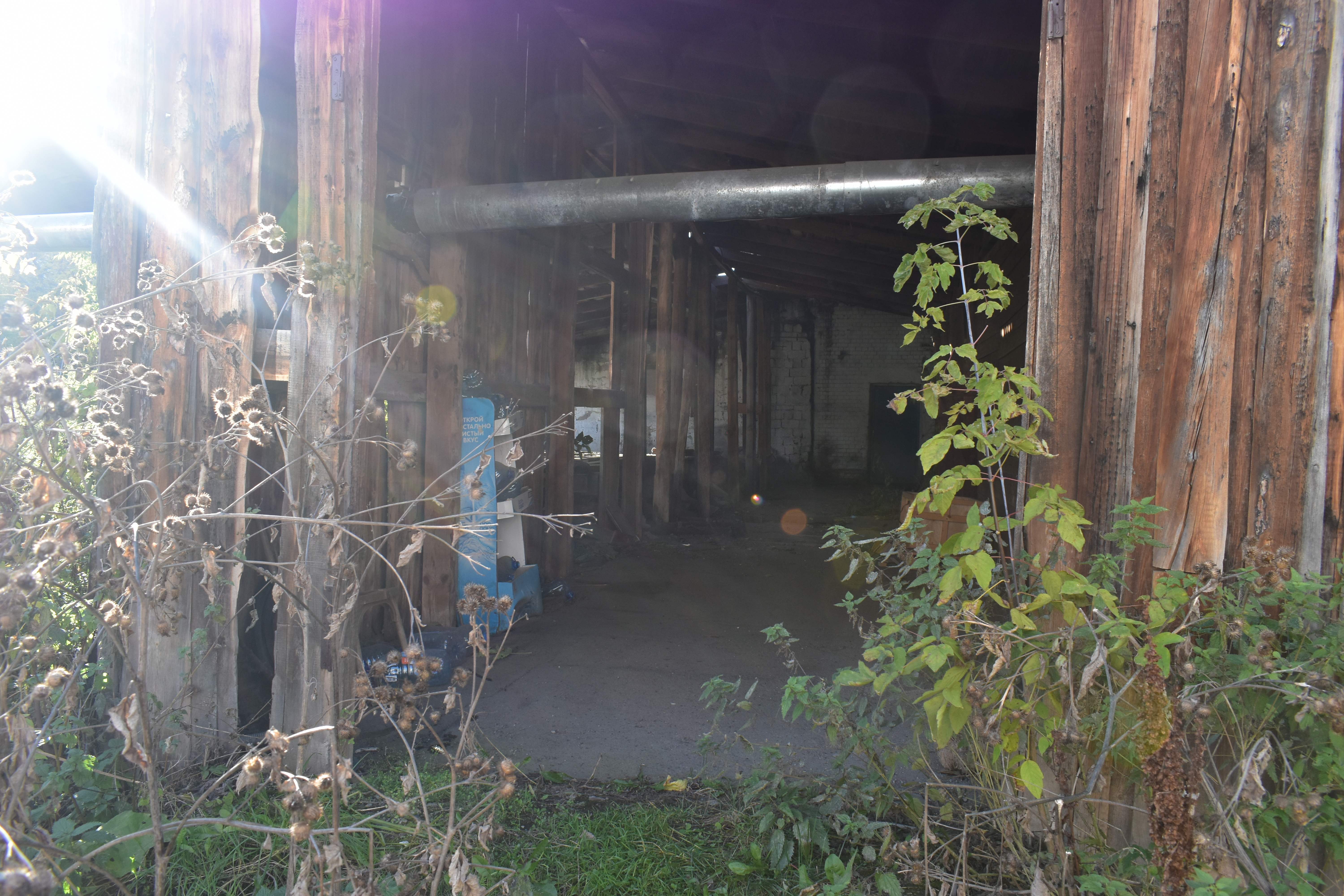 DSC_0166.JPG