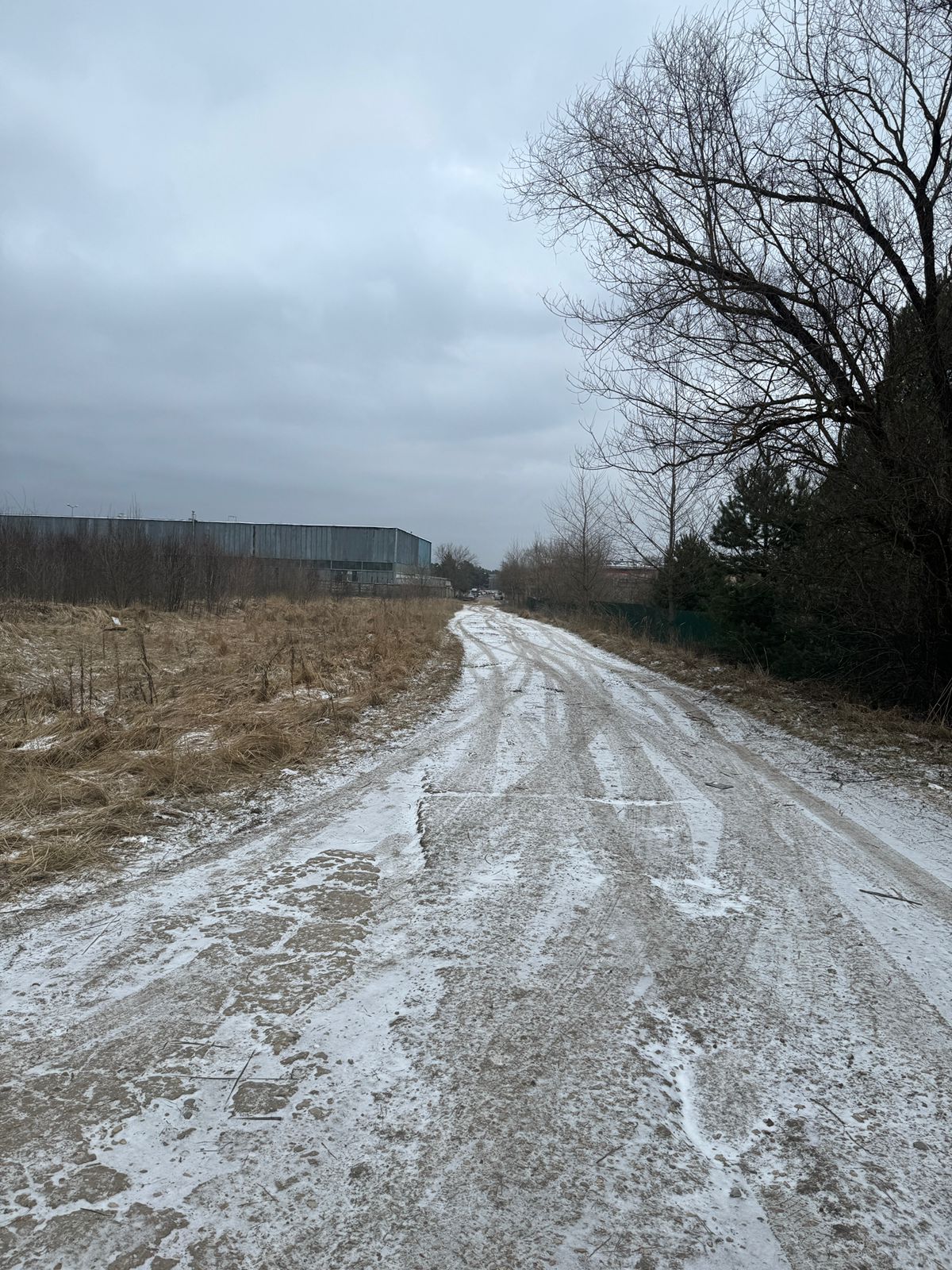 WhatsApp Image 2025-02-06 at 10.15.34.jpeg