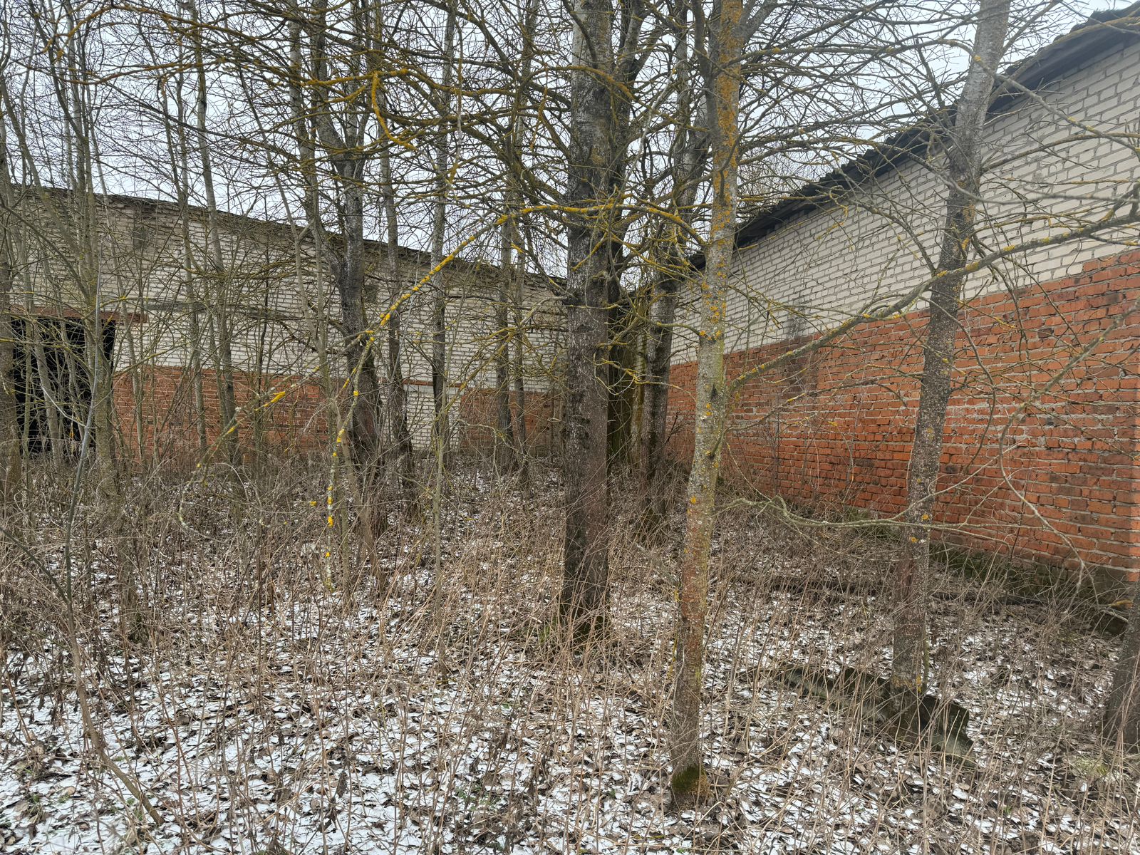 WhatsApp Image 2025-02-06 at 11.11.51 (1).jpeg