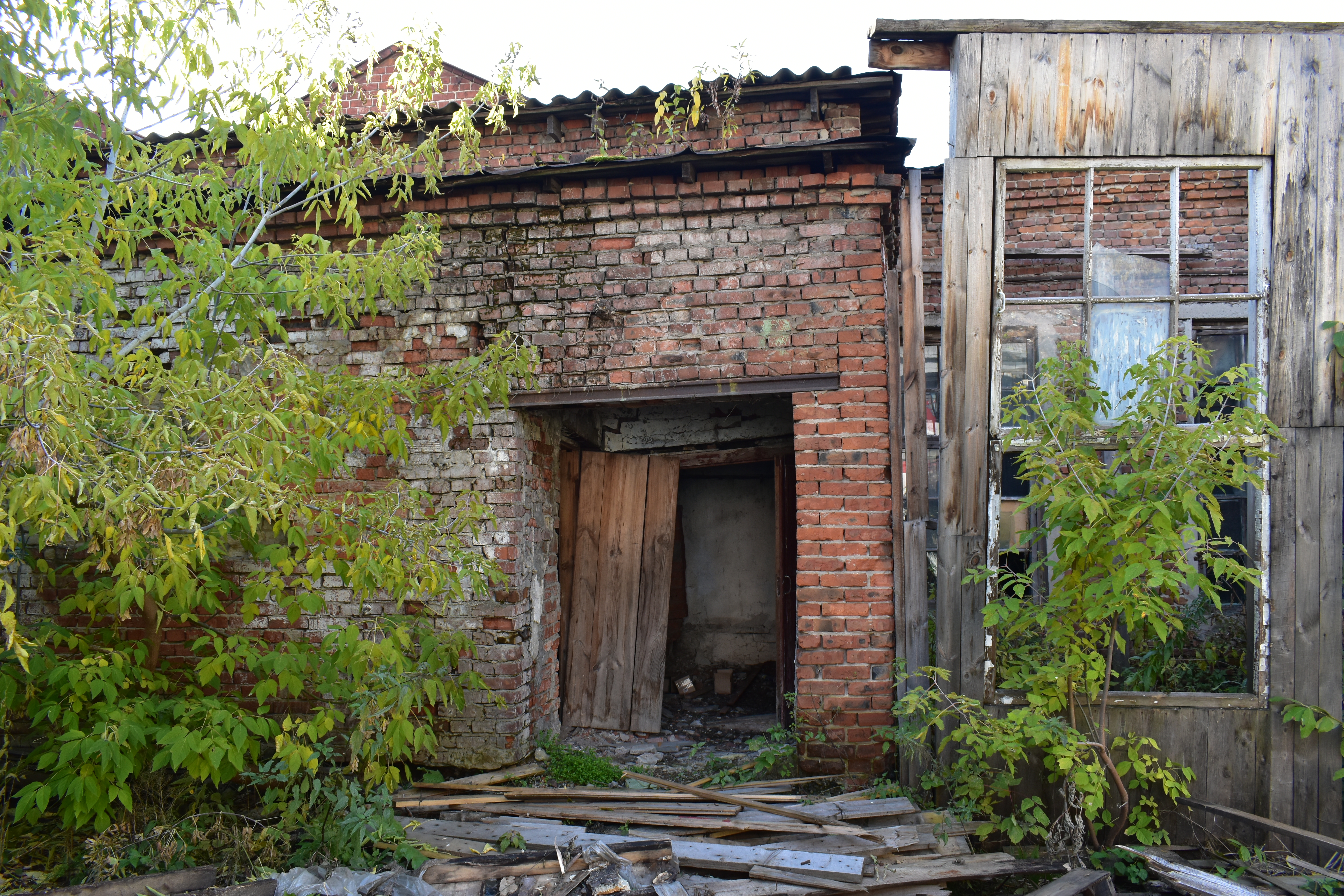 DSC_0184.JPG