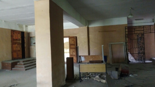 P_20230629_143104.jpg