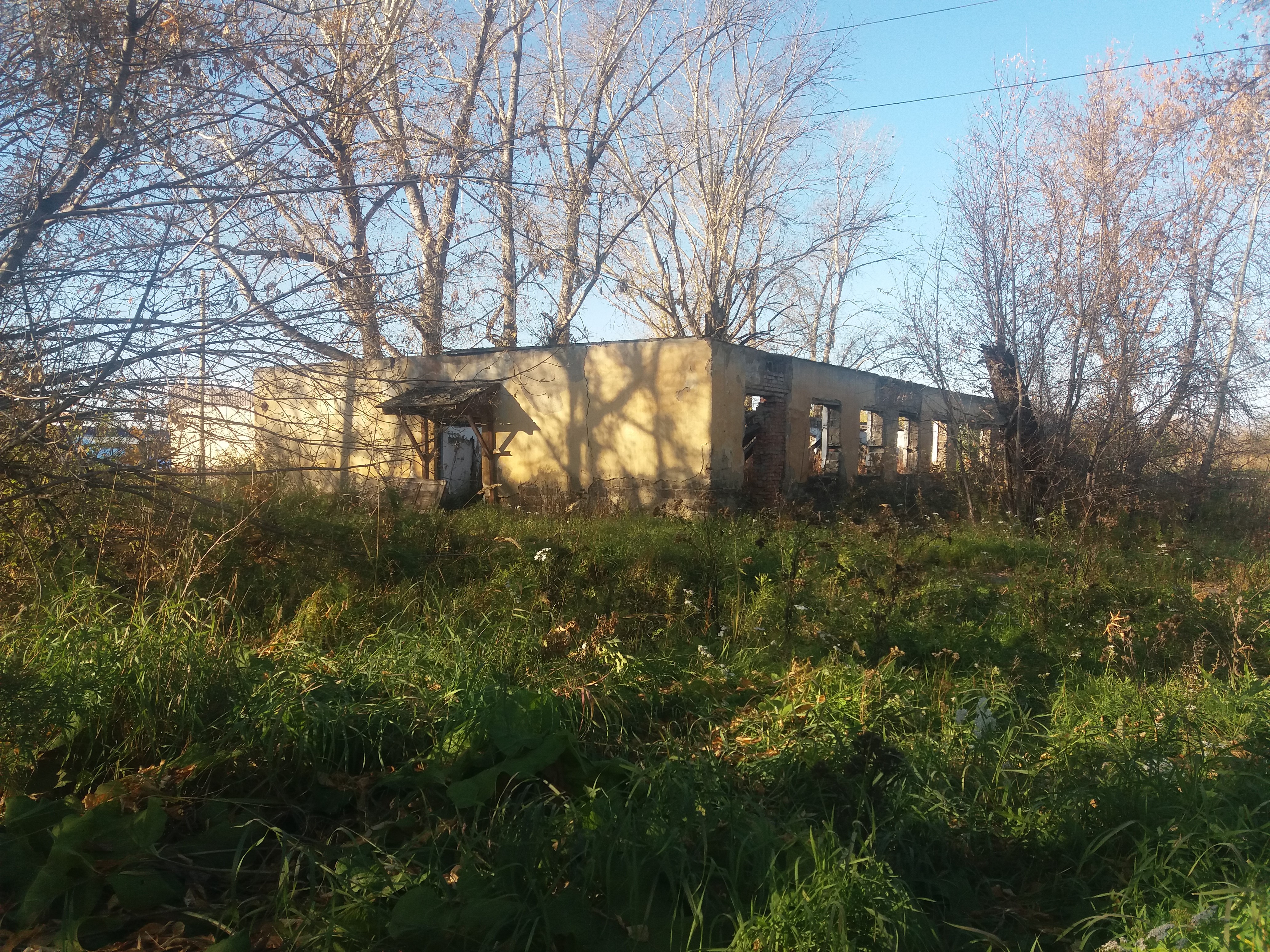 20201007_155146.jpg