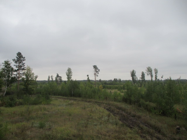 IMG_0575.JPG