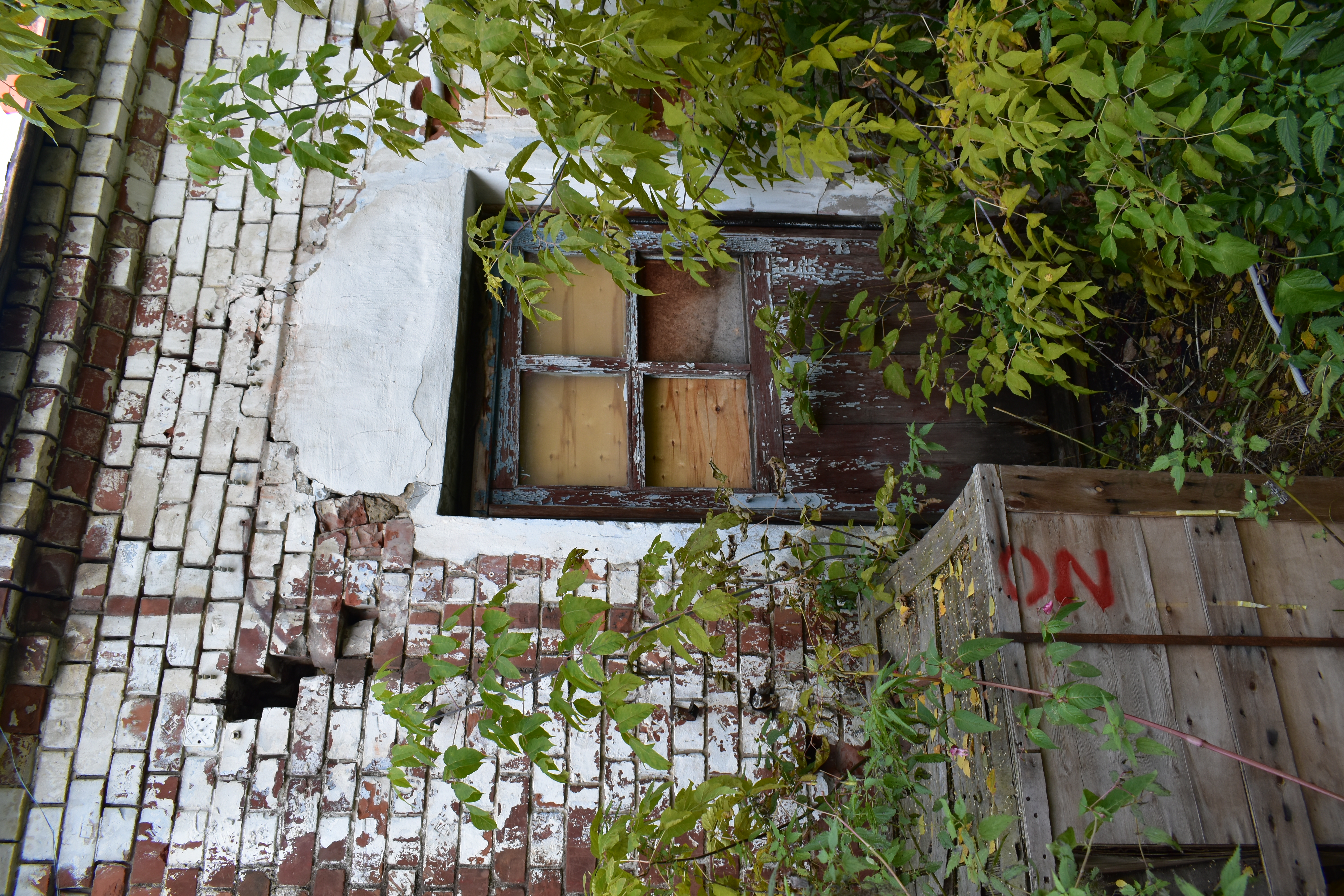 DSC_0207.JPG