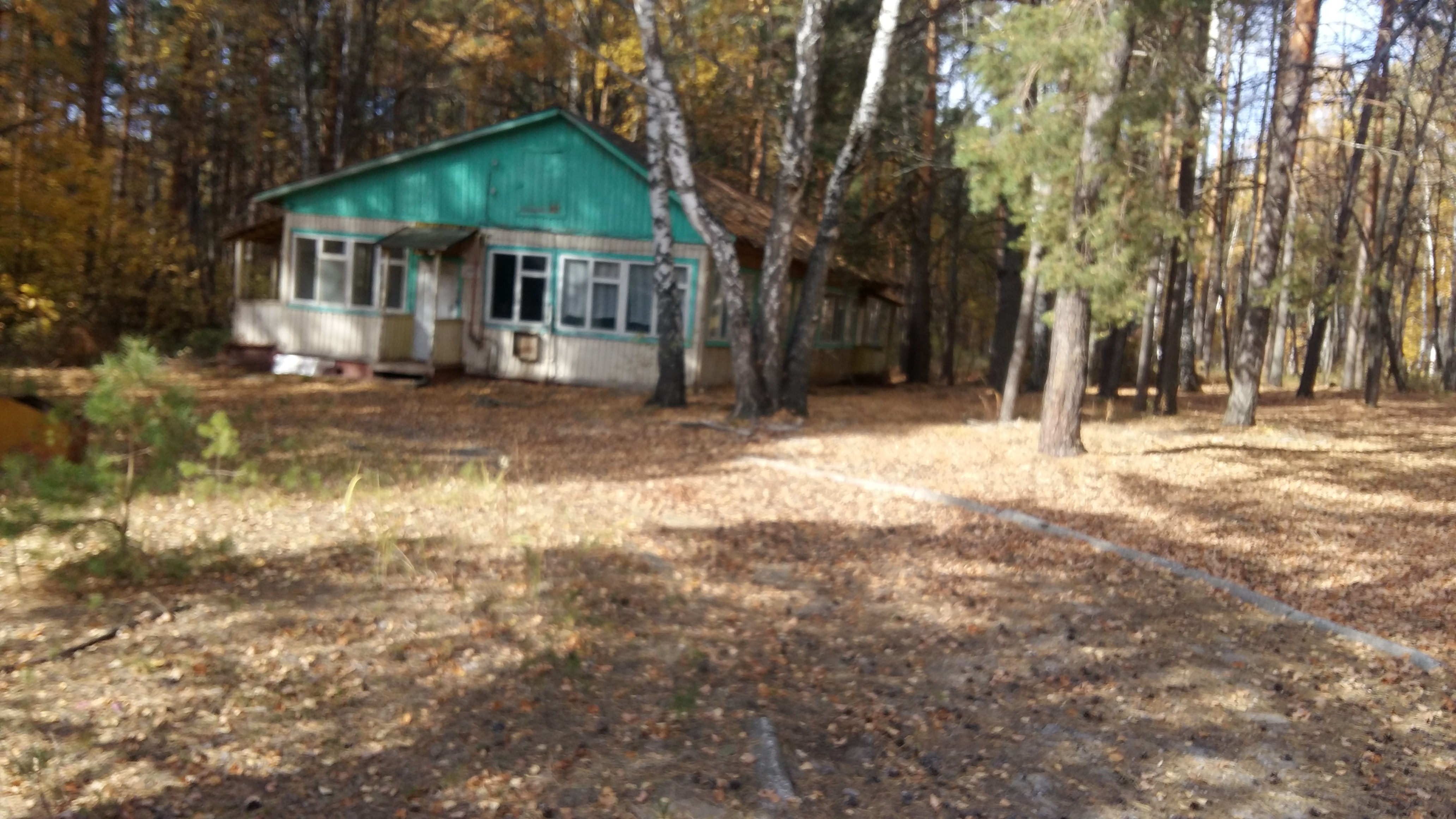 20201007_111559.jpg