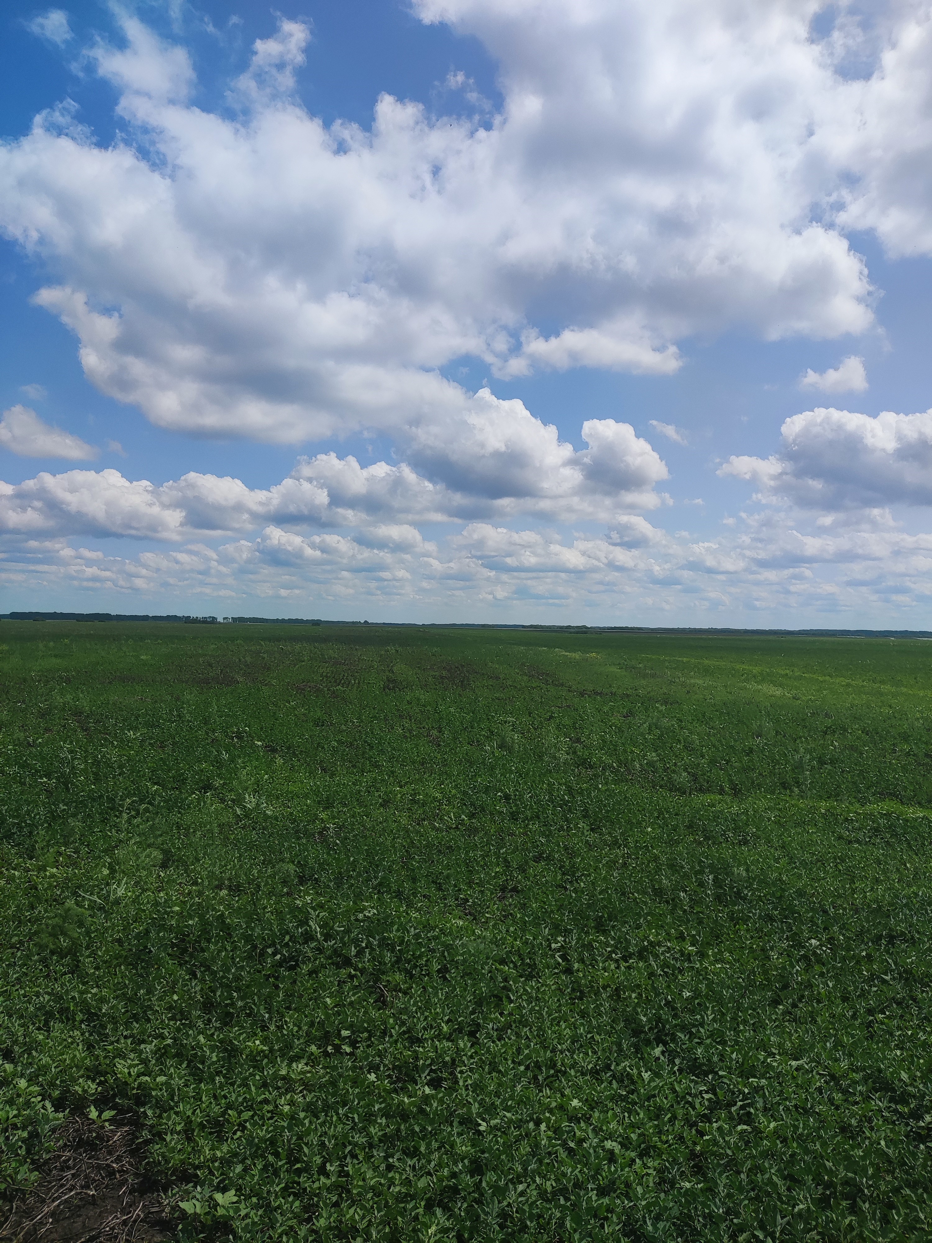 Земельные участки  1 100 га.