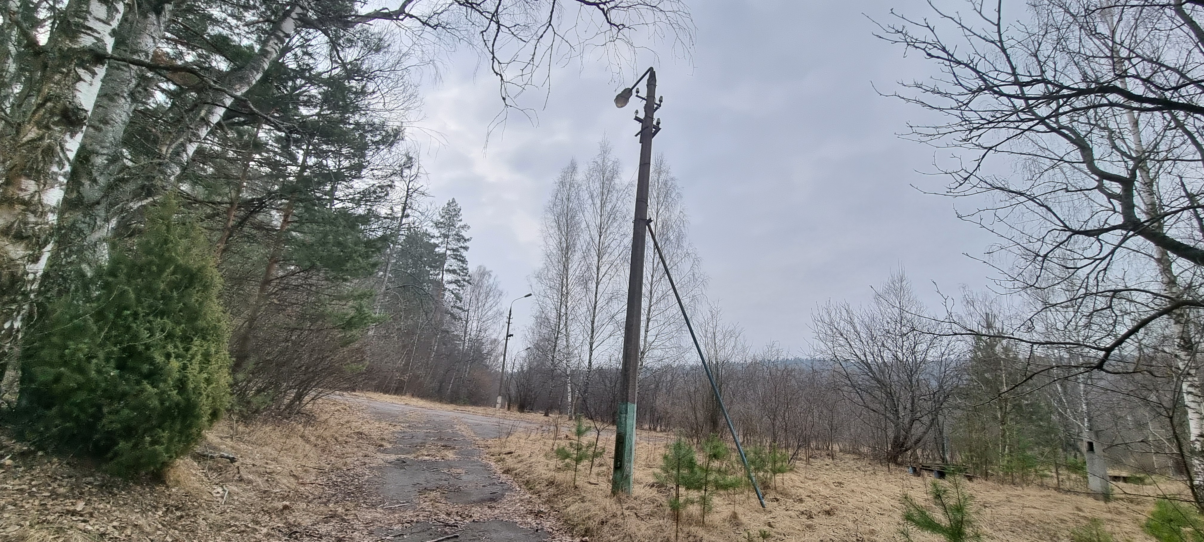 База отдыха "Лесные дали".