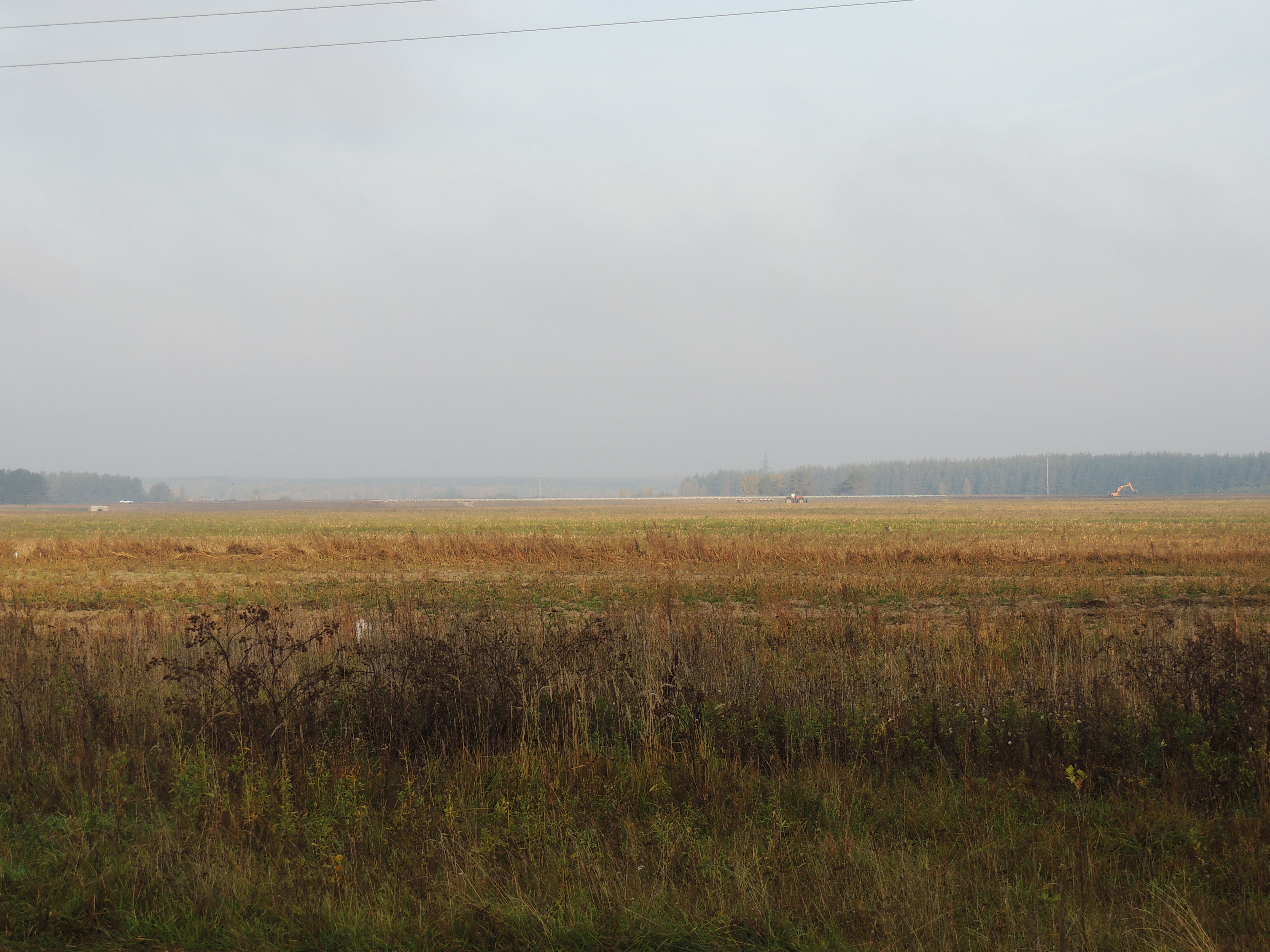 DSCN7475.JPG