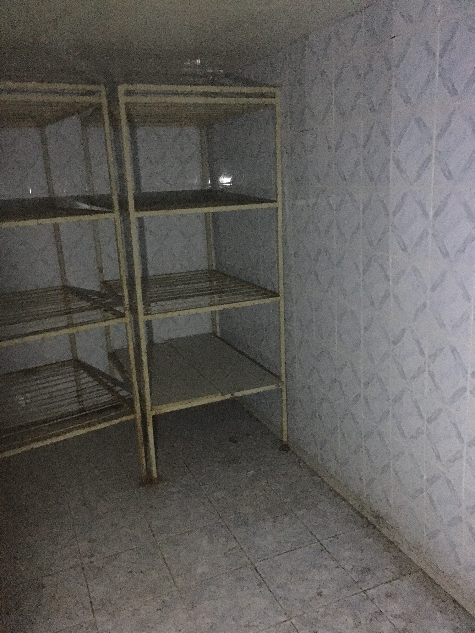 14_03.JPG