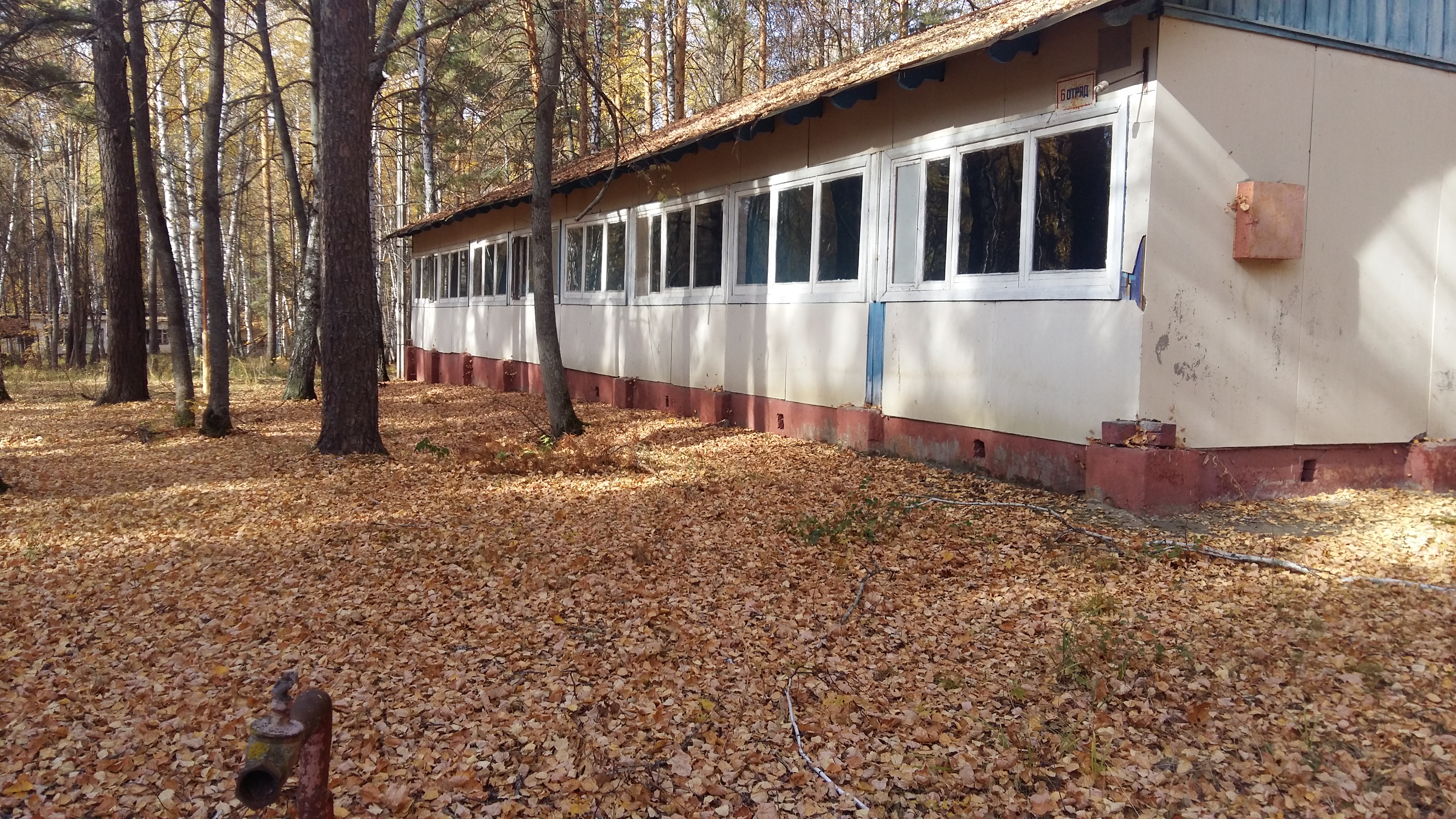 20201007_114513.jpg
