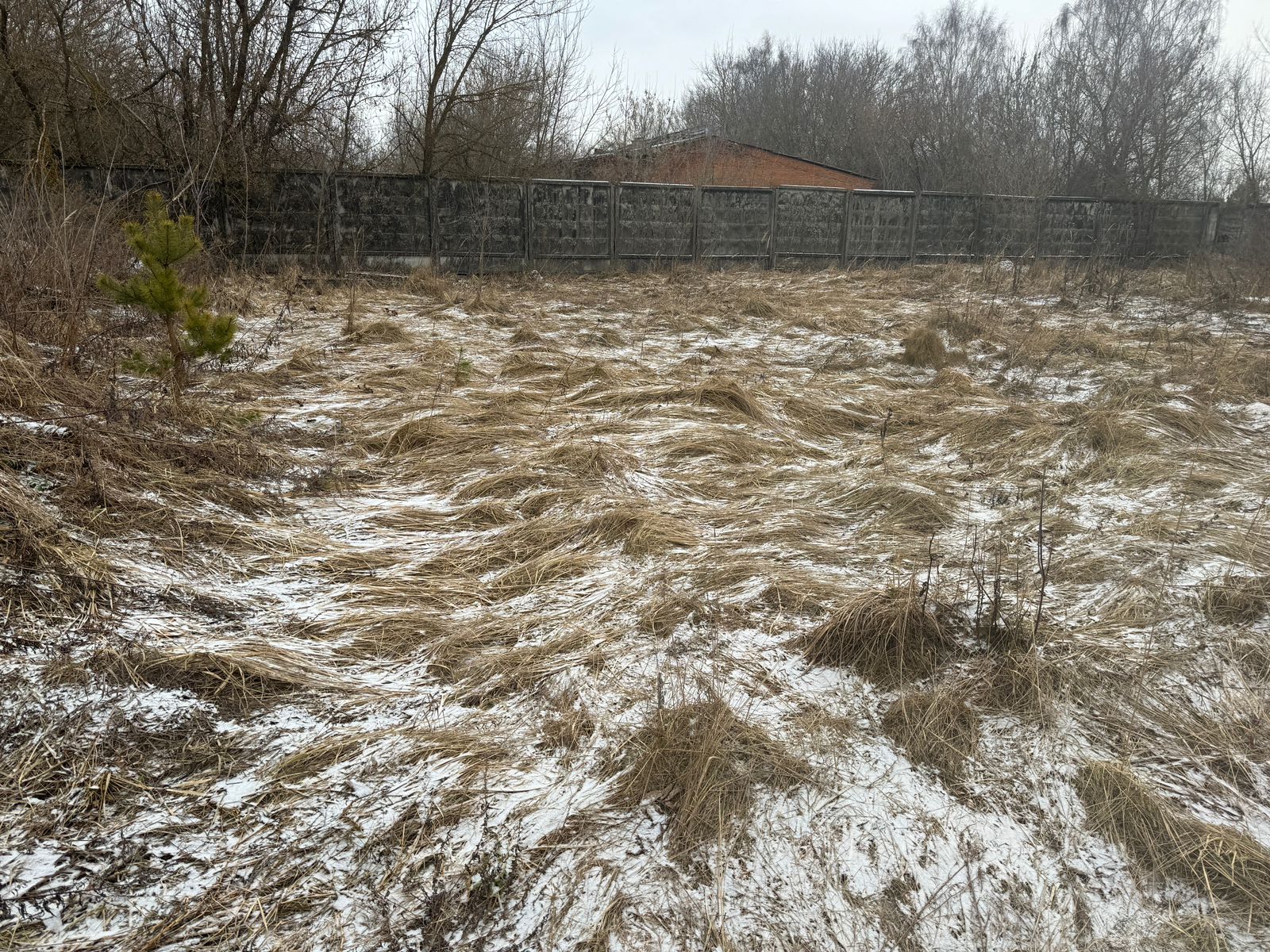 WhatsApp Image 2025-02-06 at 11.01.02 (2).jpeg